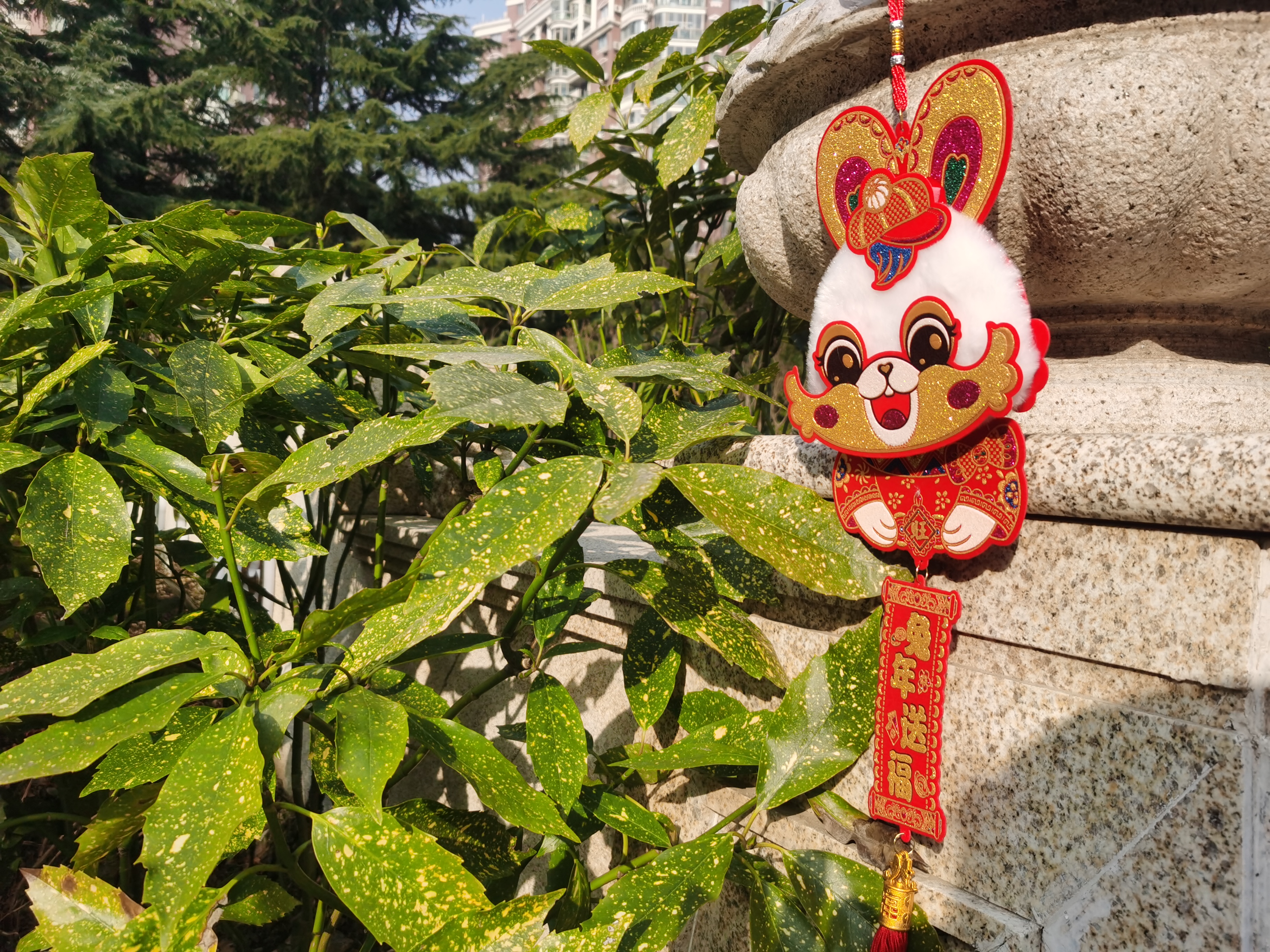 0207_142518_682.jpg 0207_142518_682.jpg