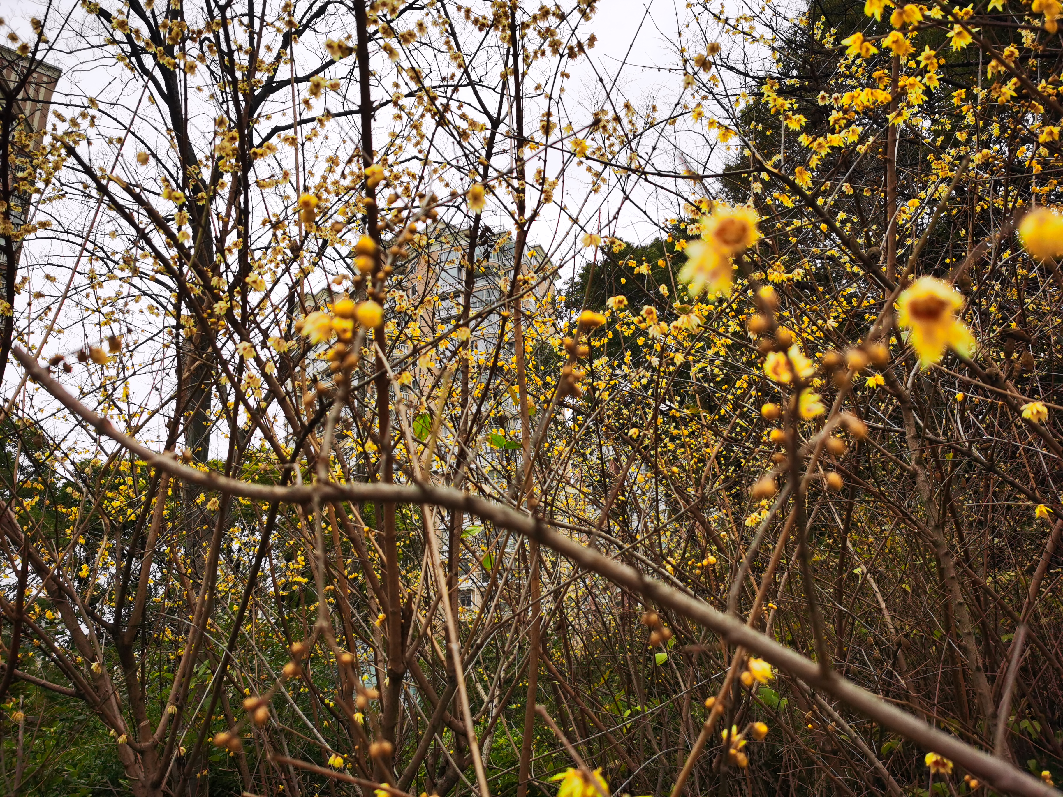 0209_094237_545.jpg 0209_094237_545.jpg