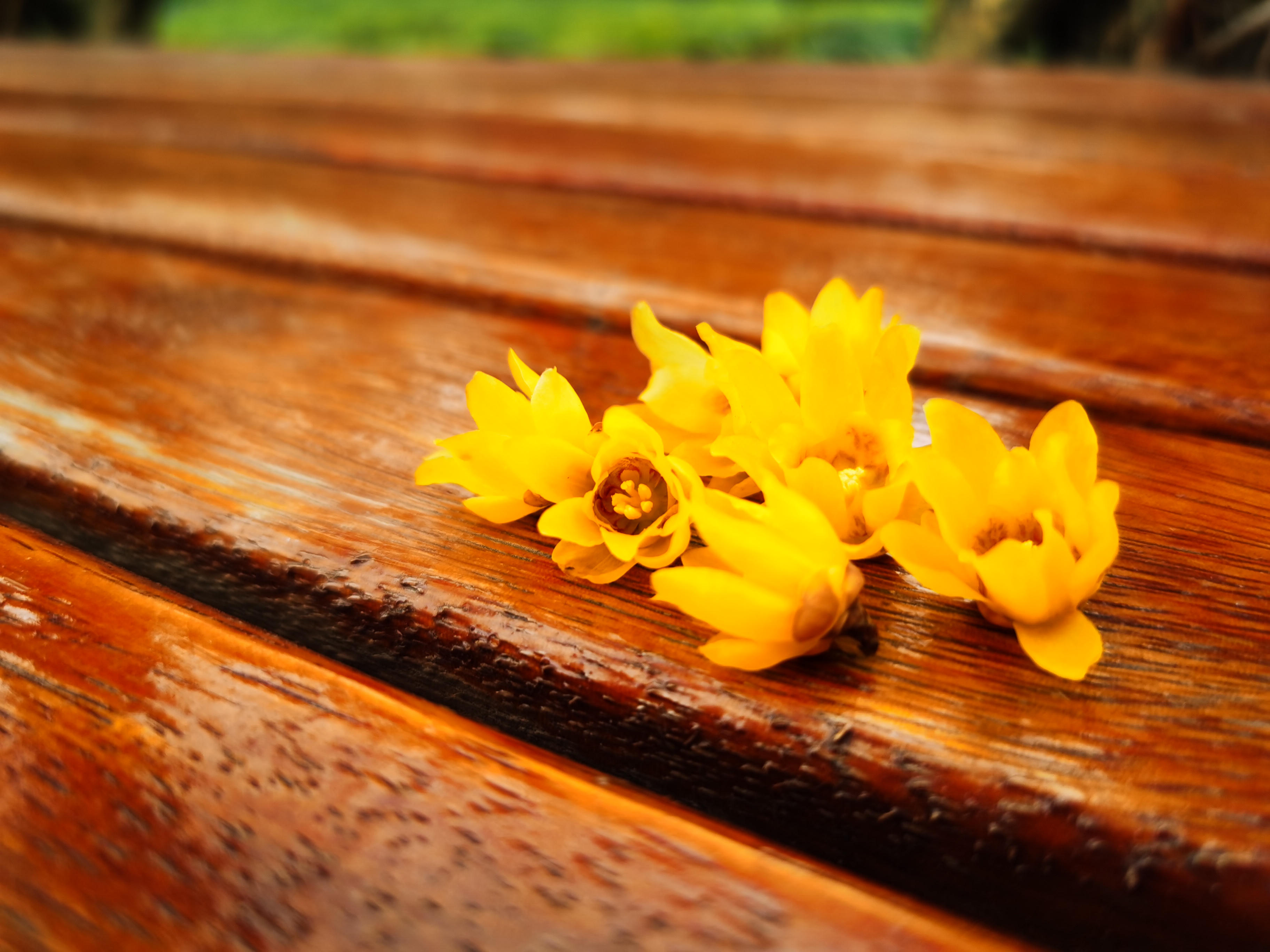 0209_094142_706.jpg 0209_094142_706.jpg