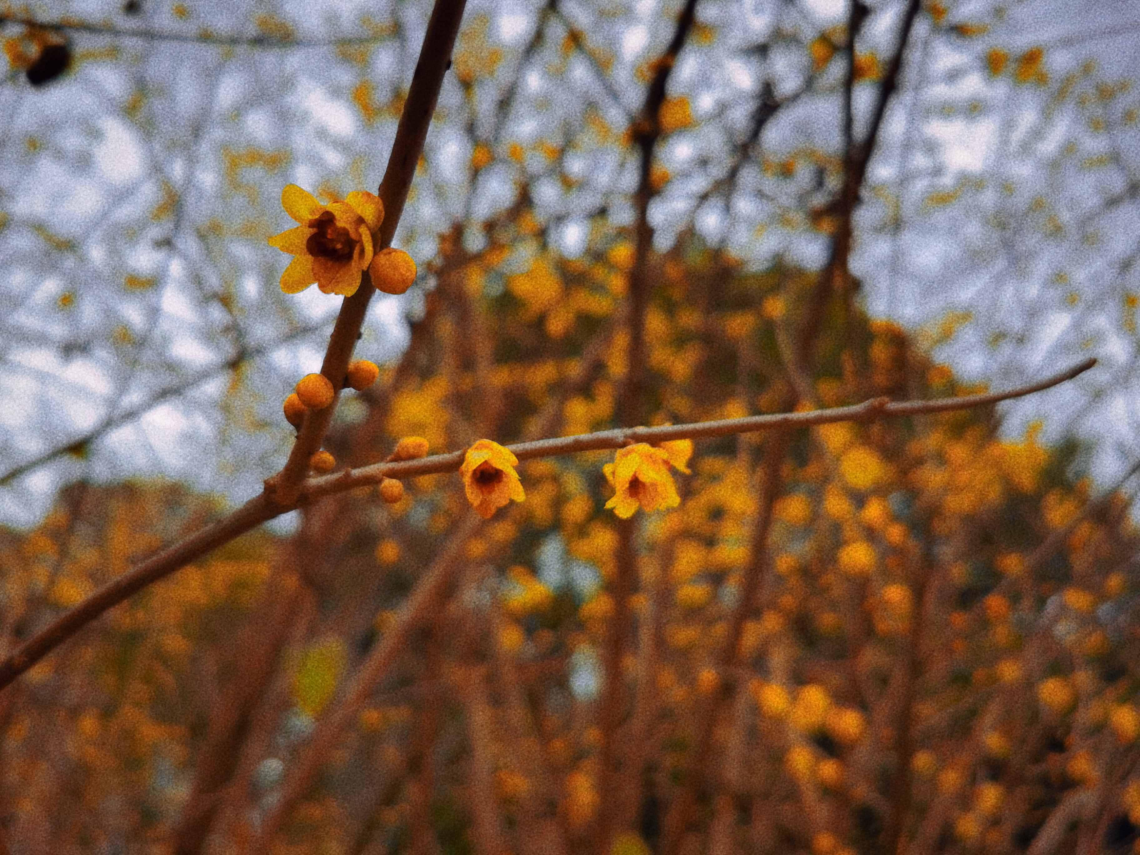 0209_094258_849.jpg 0209_094258_849.jpg