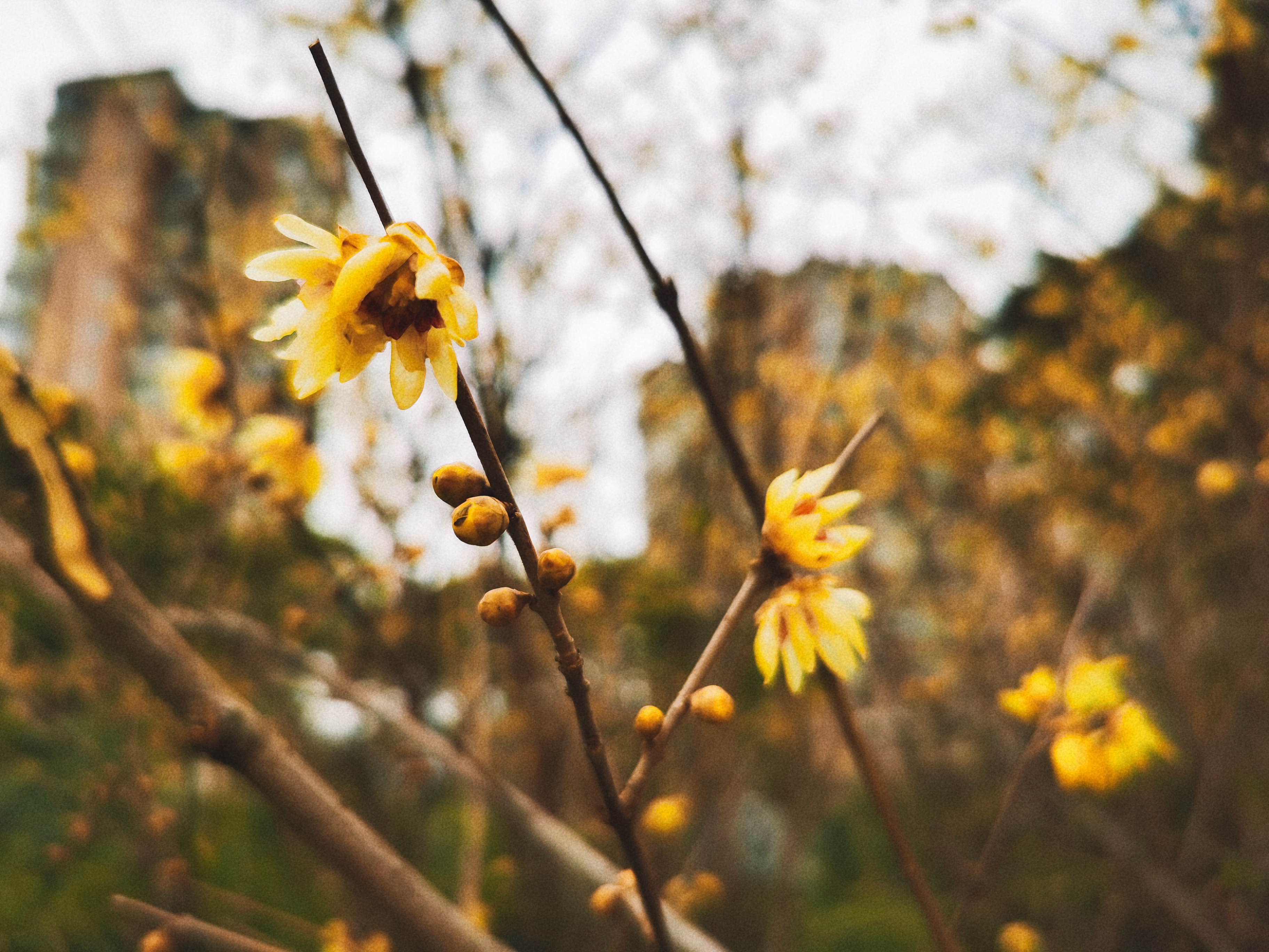 0209_094219_871.jpg 0209_094219_871.jpg