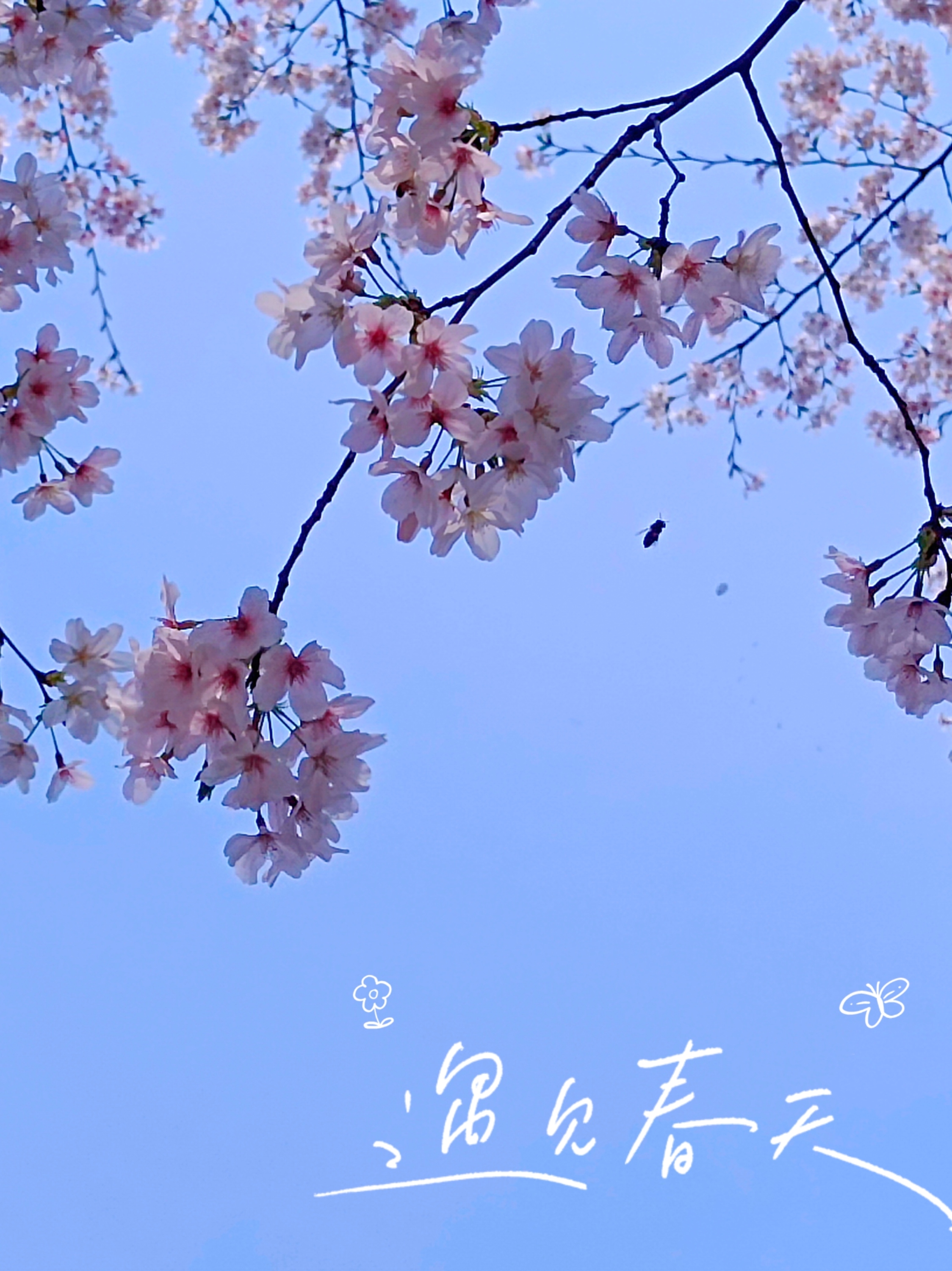 0331_113744_970.jpg 0331_113744_970.jpg