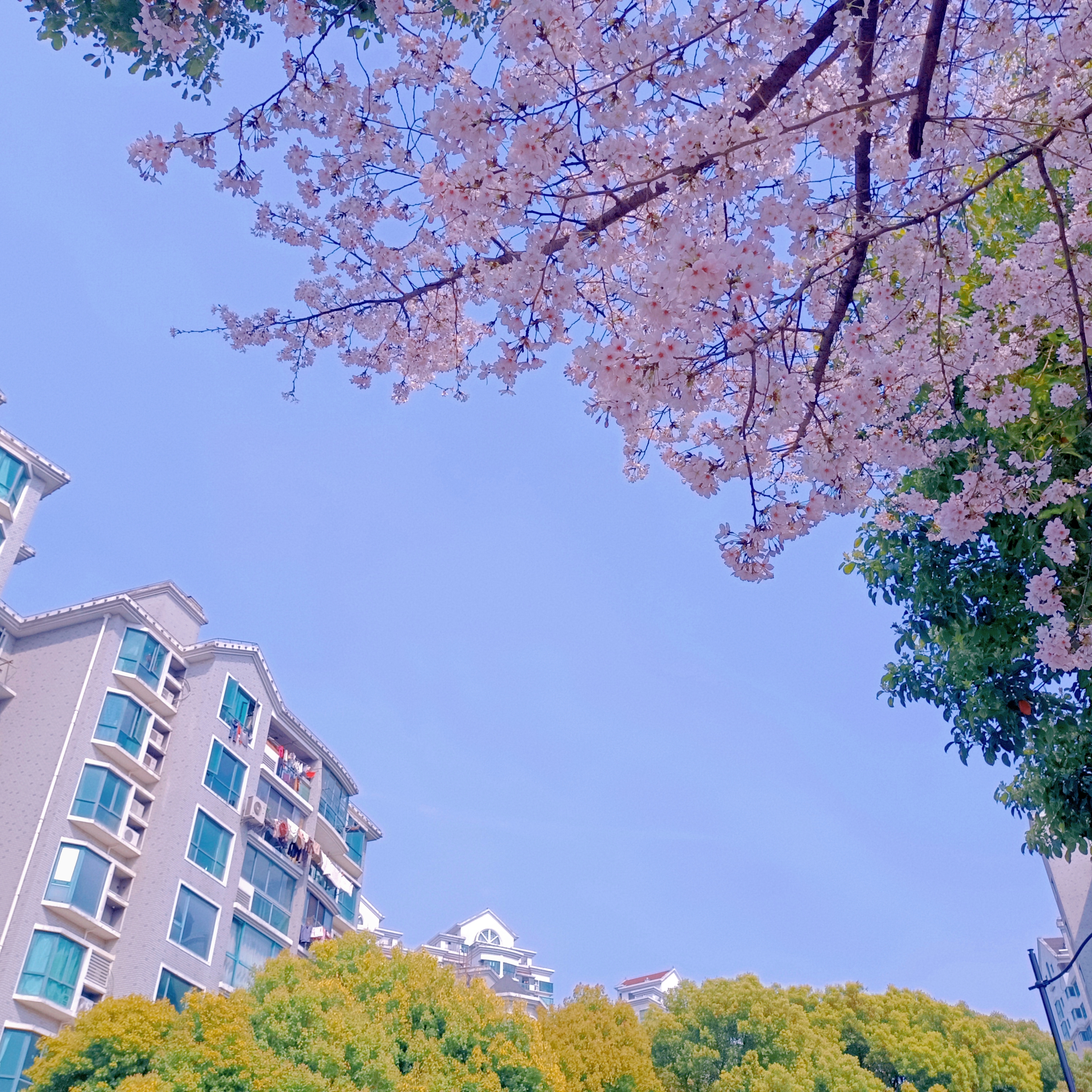 0331_113710_476.jpg 0331_113710_476.jpg