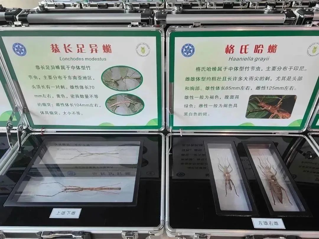 0425_160334_860.jpg 0425_160334_860.jpg