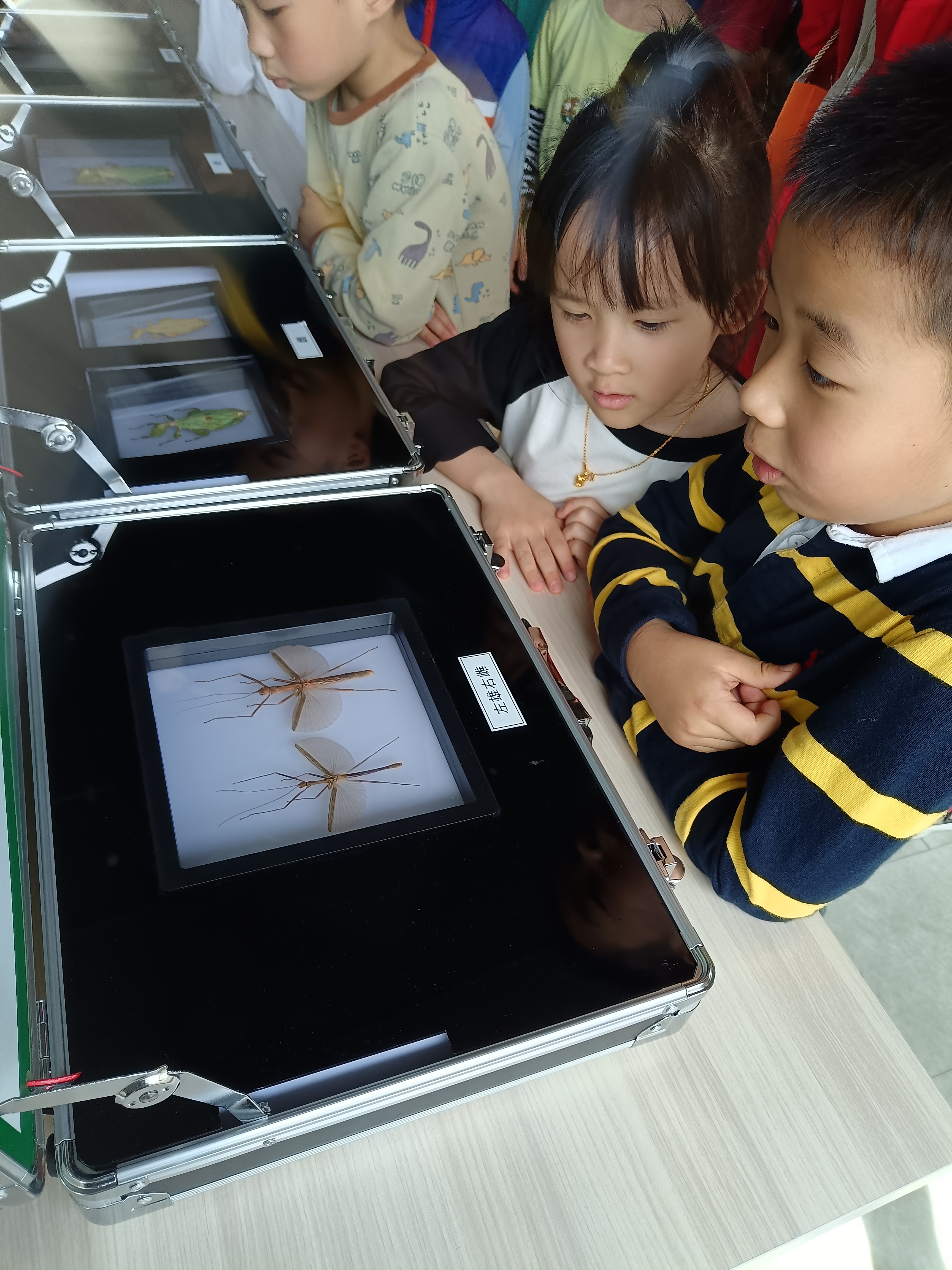 0425_160334_496.jpg 0425_160334_496.jpg