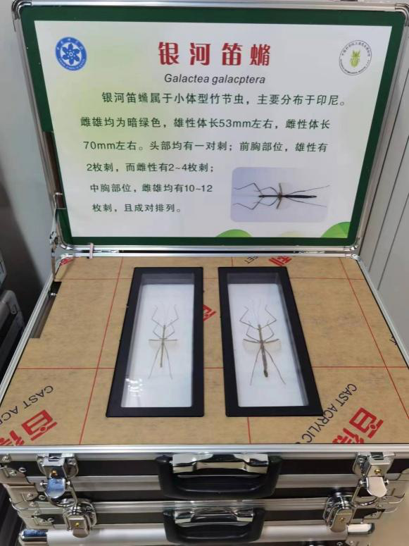 0425_160334_949.png 0425_160334_949.png