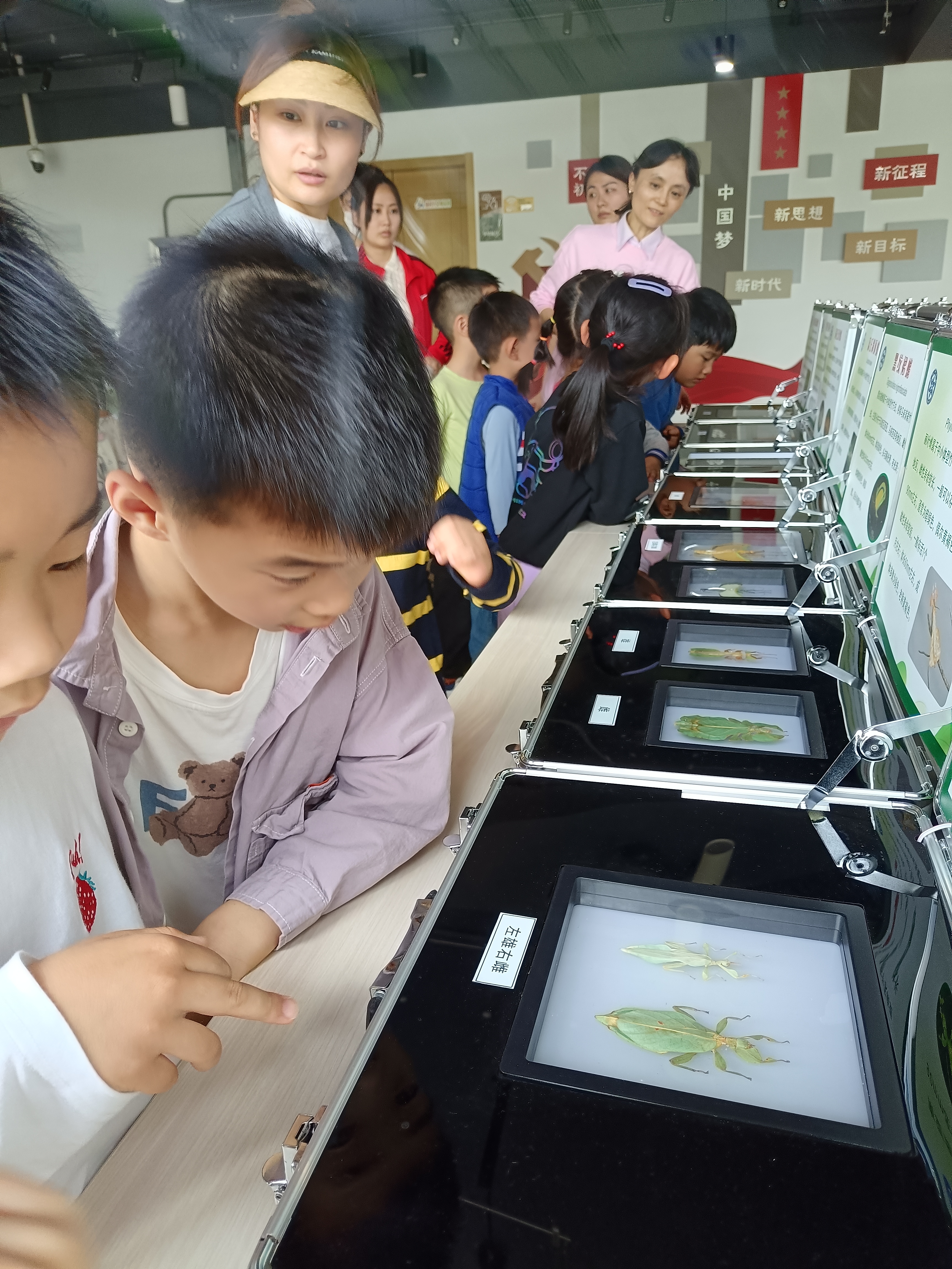 0425_160334_971.jpg 0425_160334_971.jpg