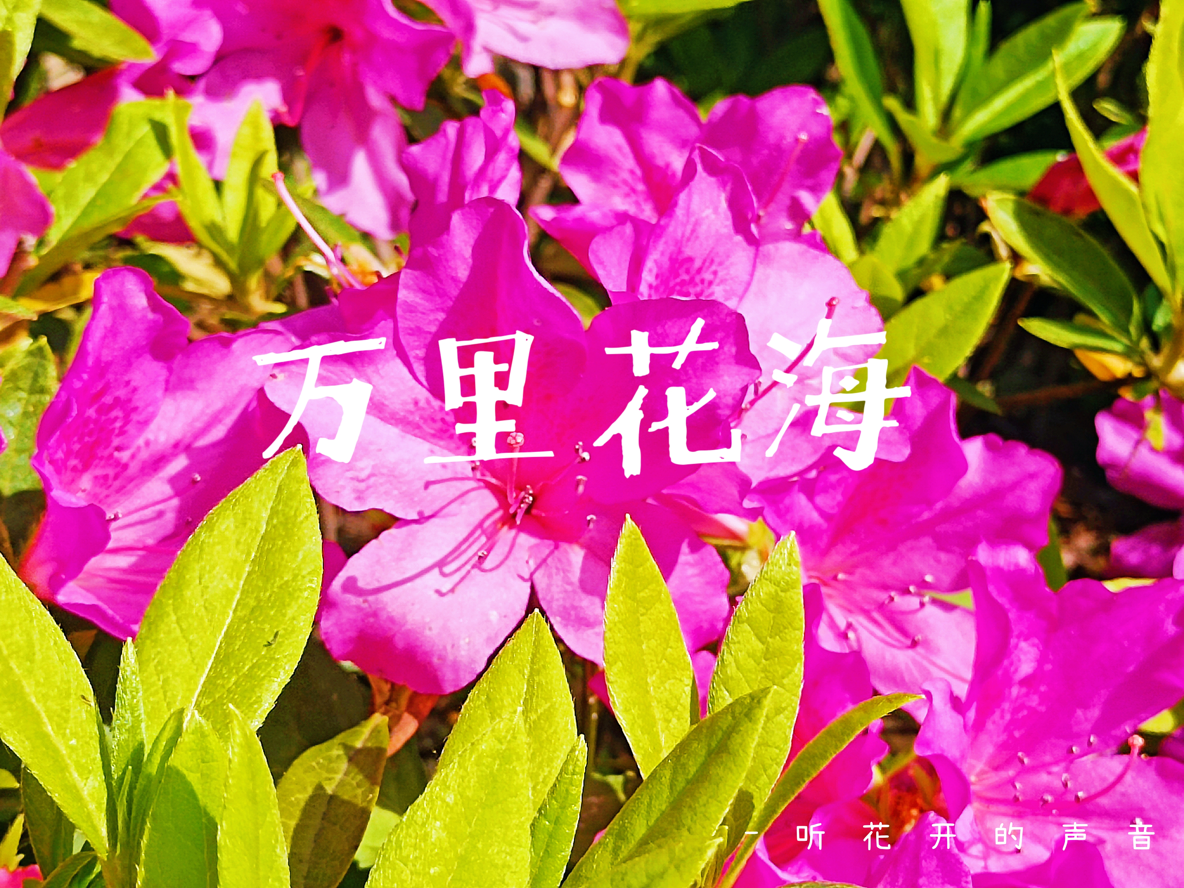 0425_161352_104.png 0425_161352_104.png