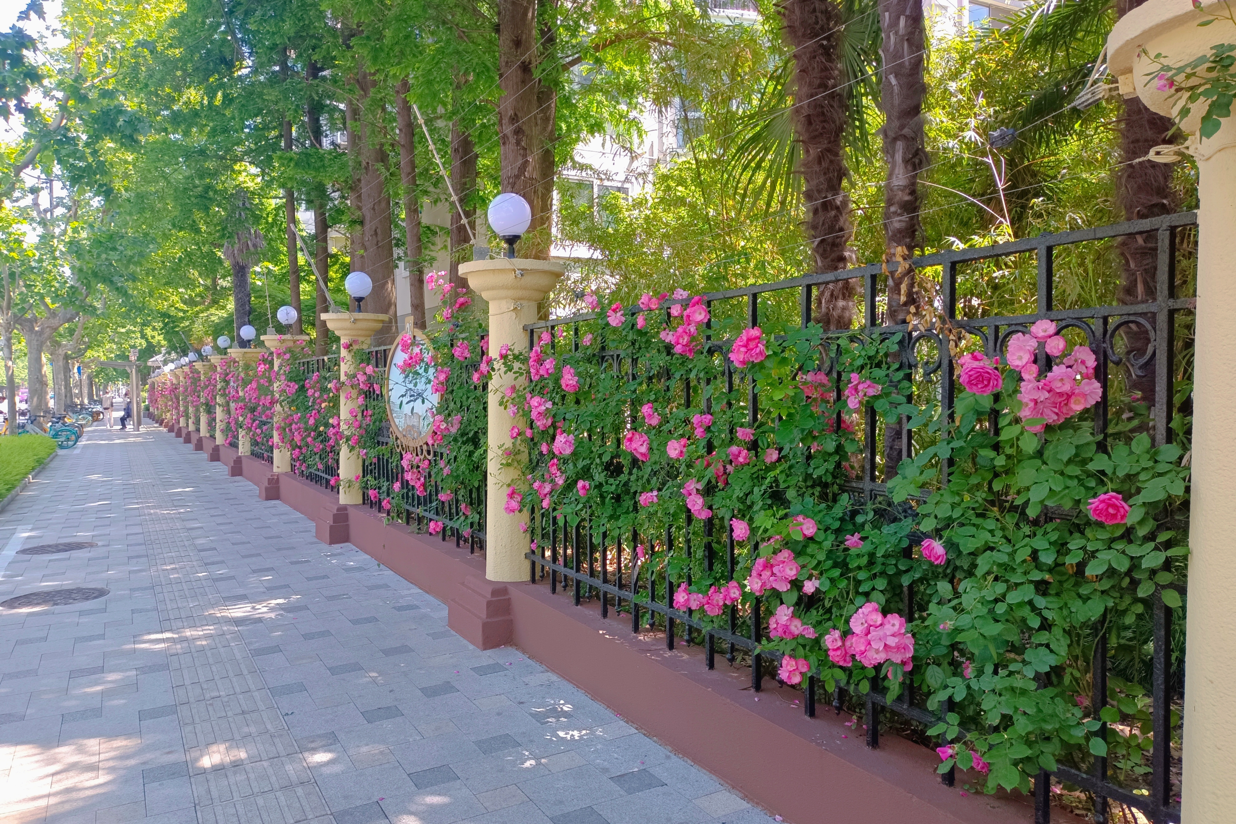 0530_131011_823.jpg 0530_131011_823.jpg