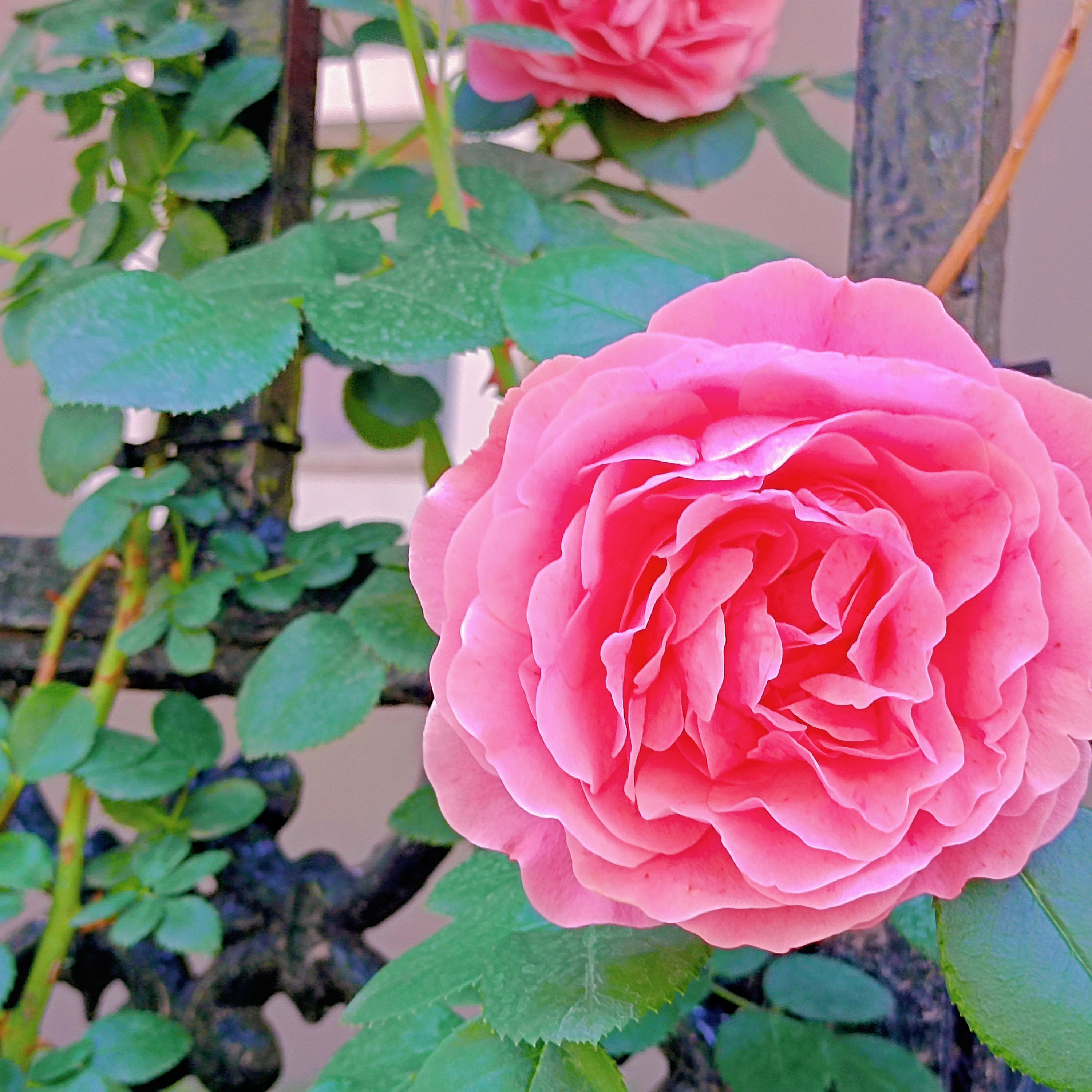 0531_142817_553.jpg 0531_142817_553.jpg