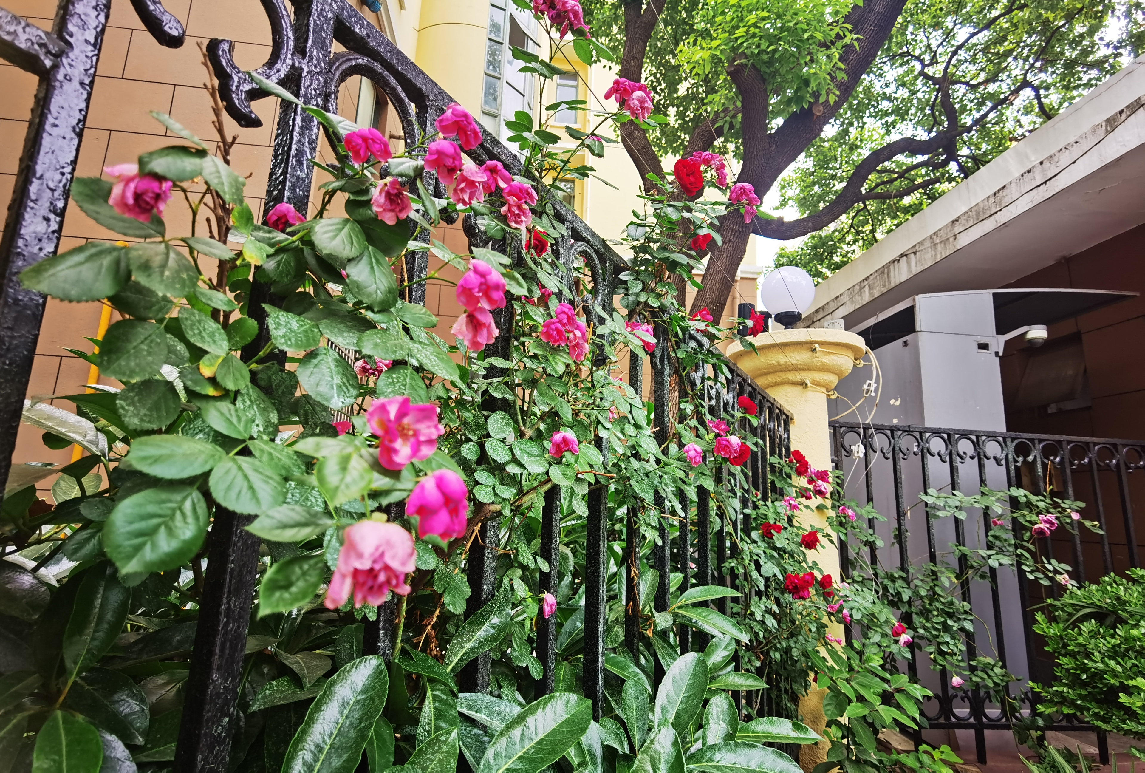 0531_142857_669.jpg 0531_142857_669.jpg