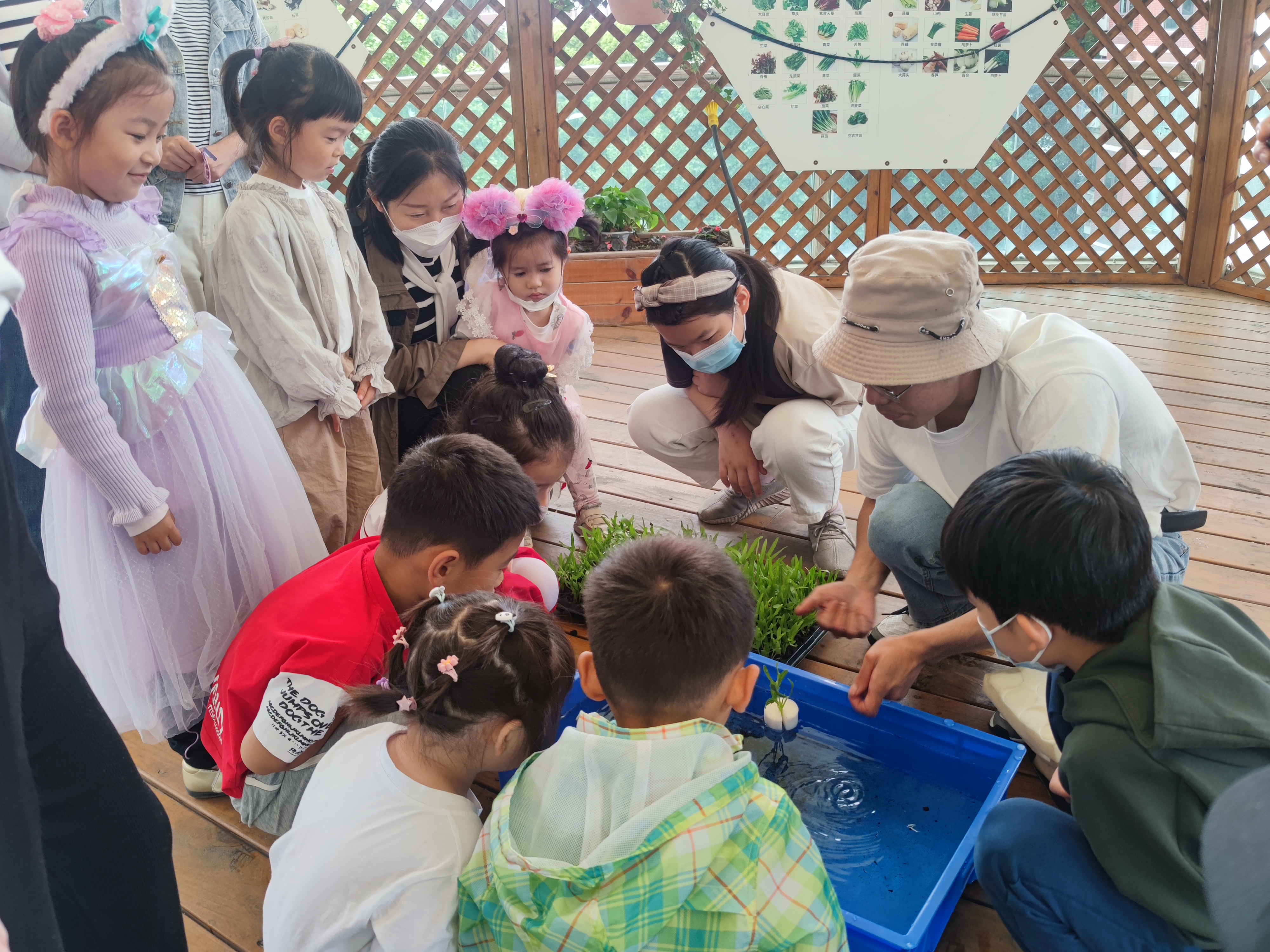 0531_145915_695.jpg 0531_145915_695.jpg