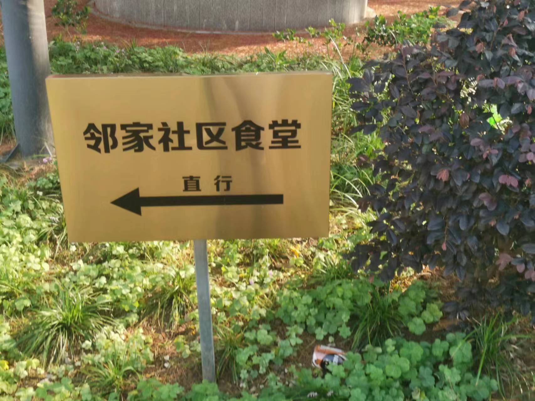 0630_142140_220.png 0630_142140_220.png