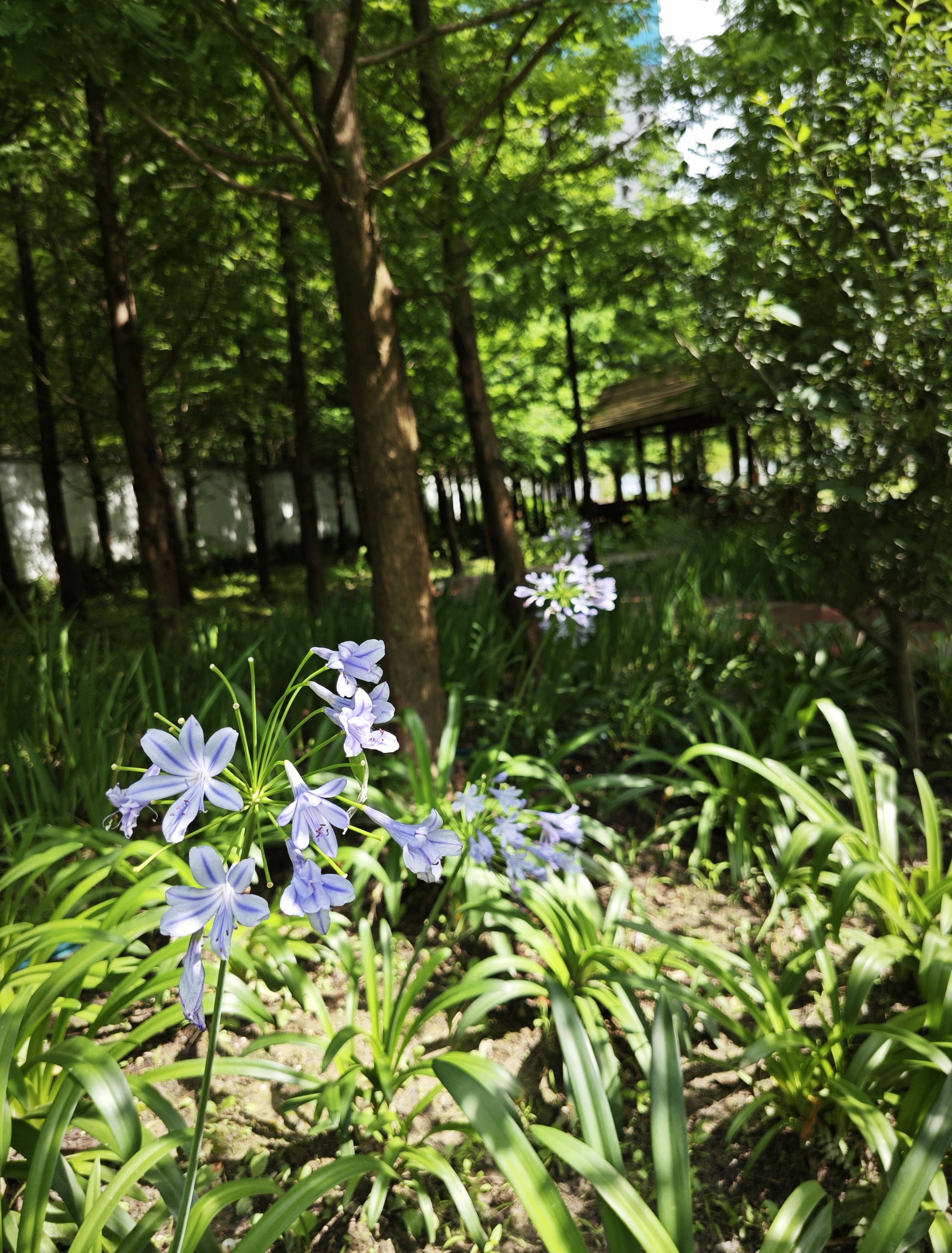 0714_133840_800.jpg 0714_133840_800.jpg