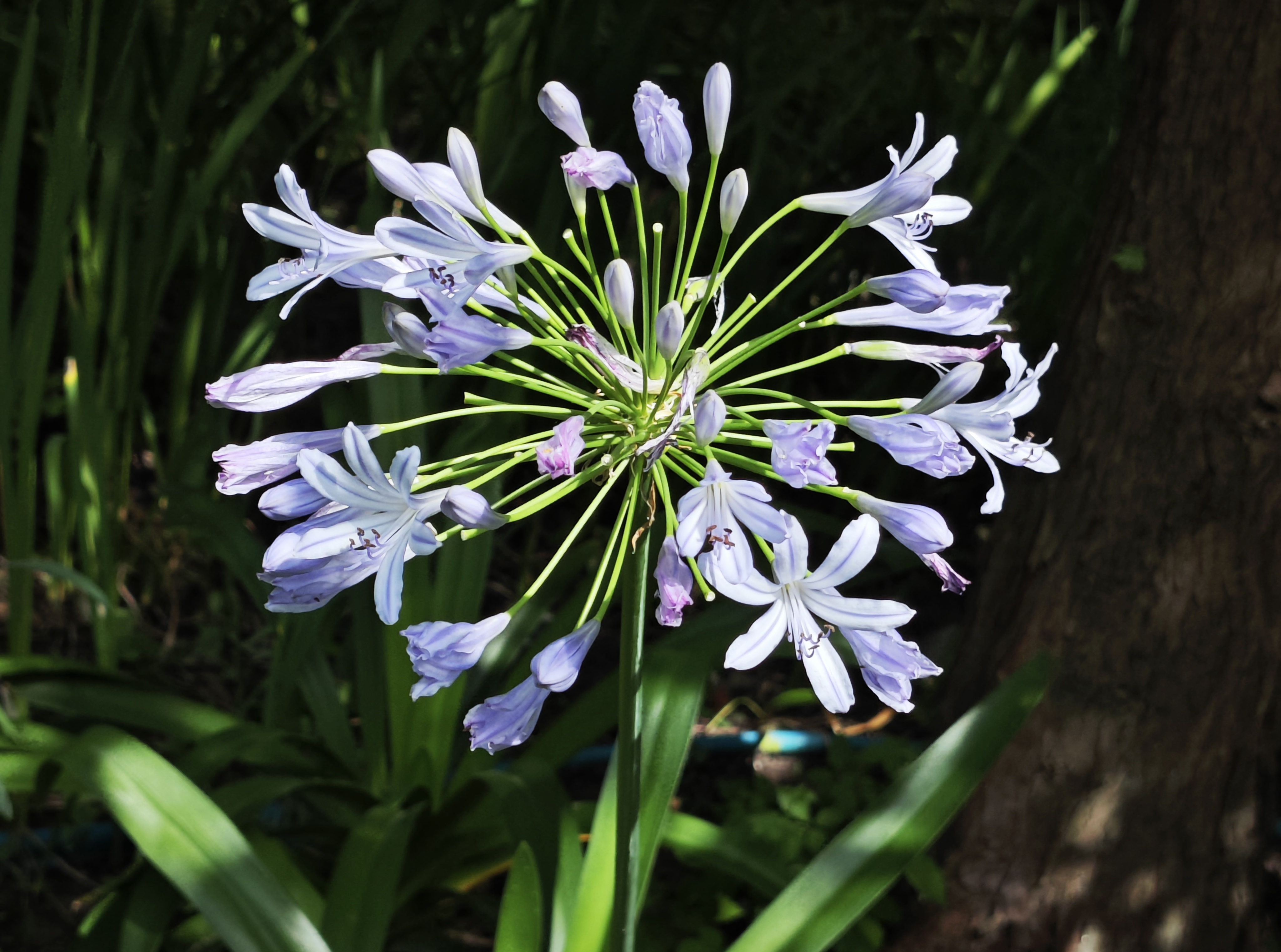 0714_133655_793.jpg 0714_133655_793.jpg