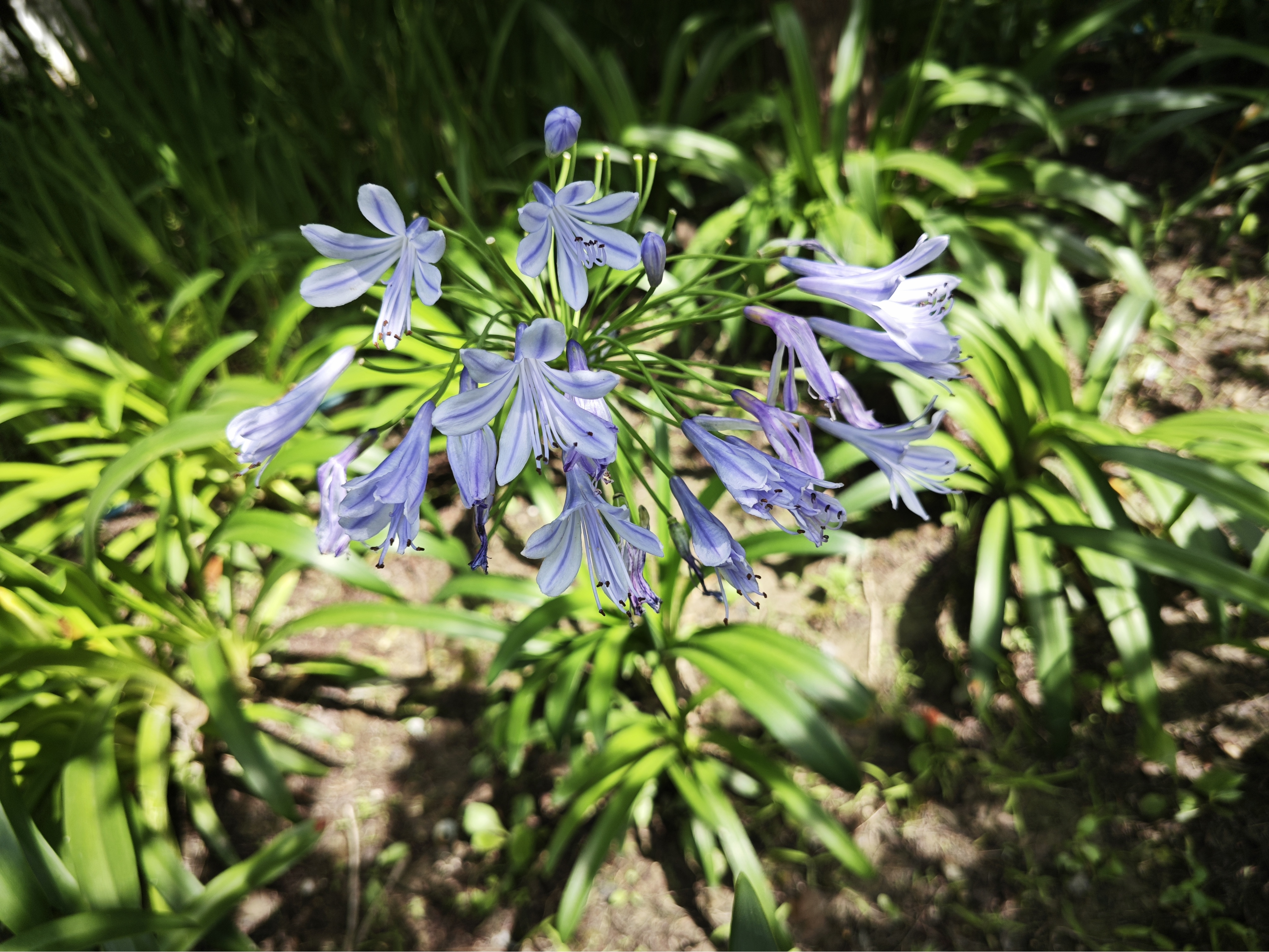 0714_133859_402.jpg 0714_133859_402.jpg