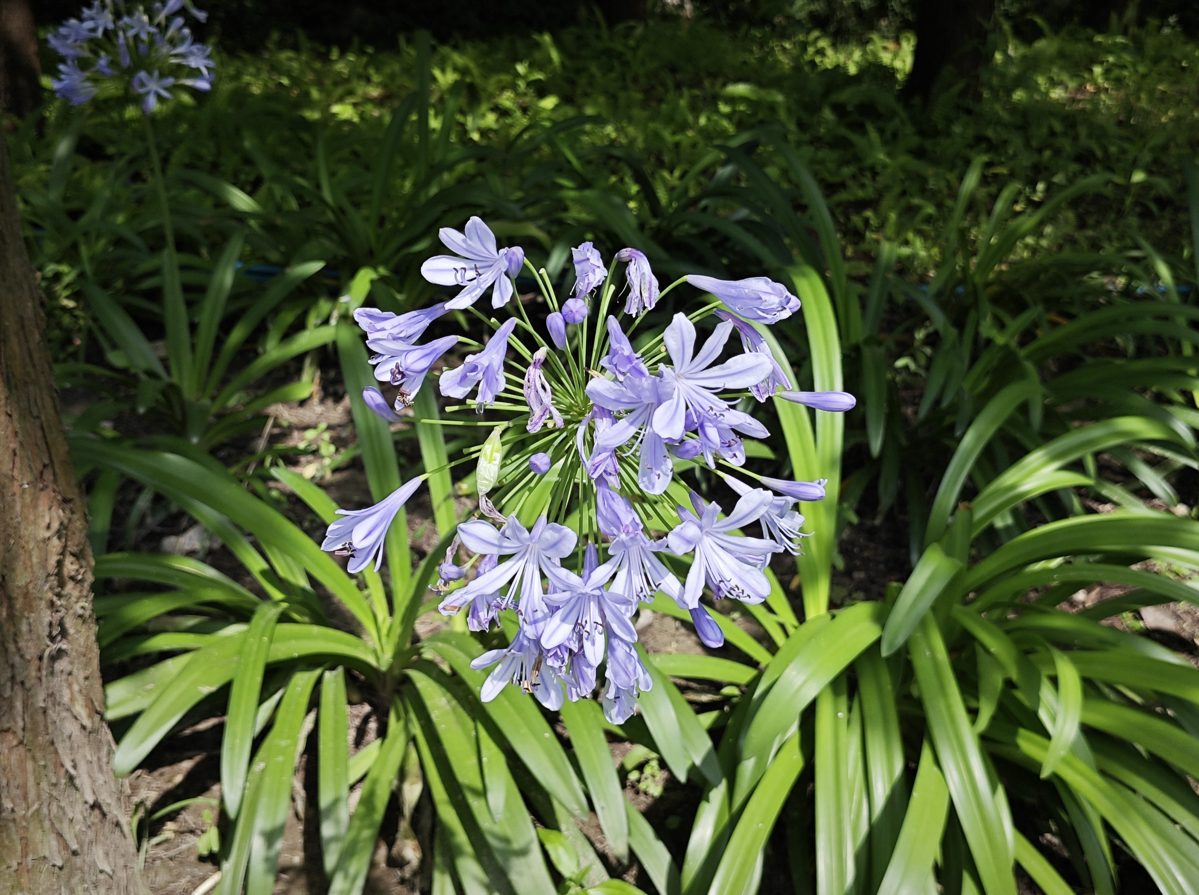 0714_133721_636.jpg 0714_133721_636.jpg