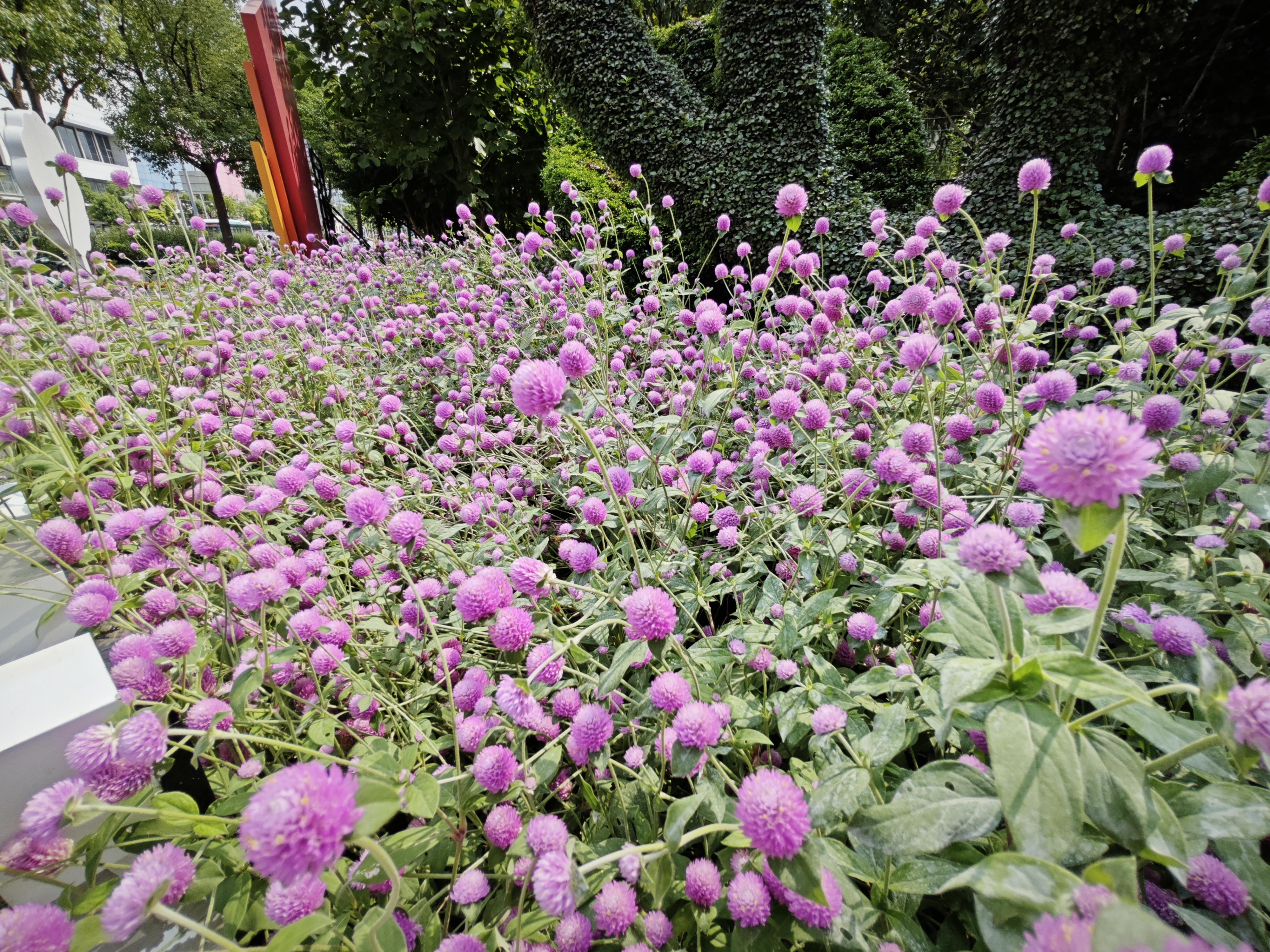 0920_160508_954.jpg 0920_160508_954.jpg