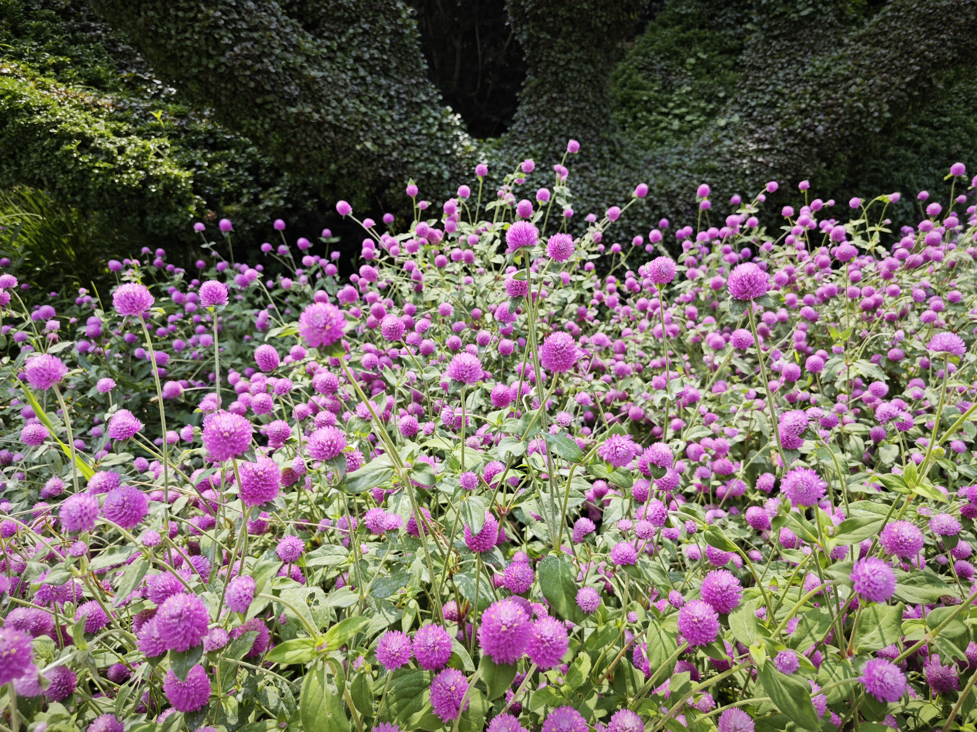 0920_160444_486.jpg 0920_160444_486.jpg