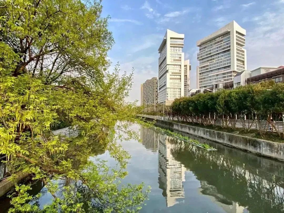 0925_093043_441.jpg 0925_093043_441.jpg