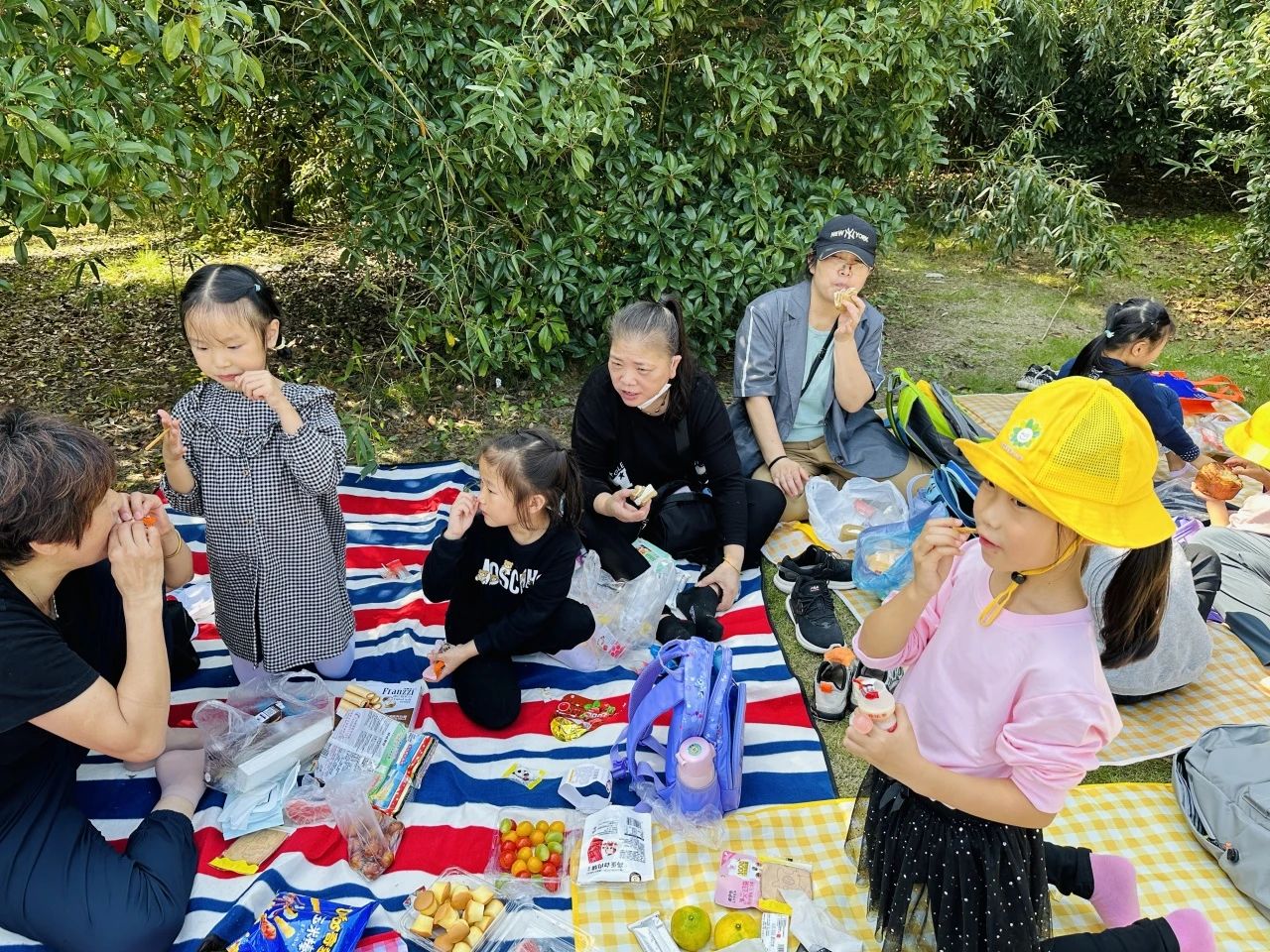 1031_122215_389.jpg 1031_122215_389.jpg