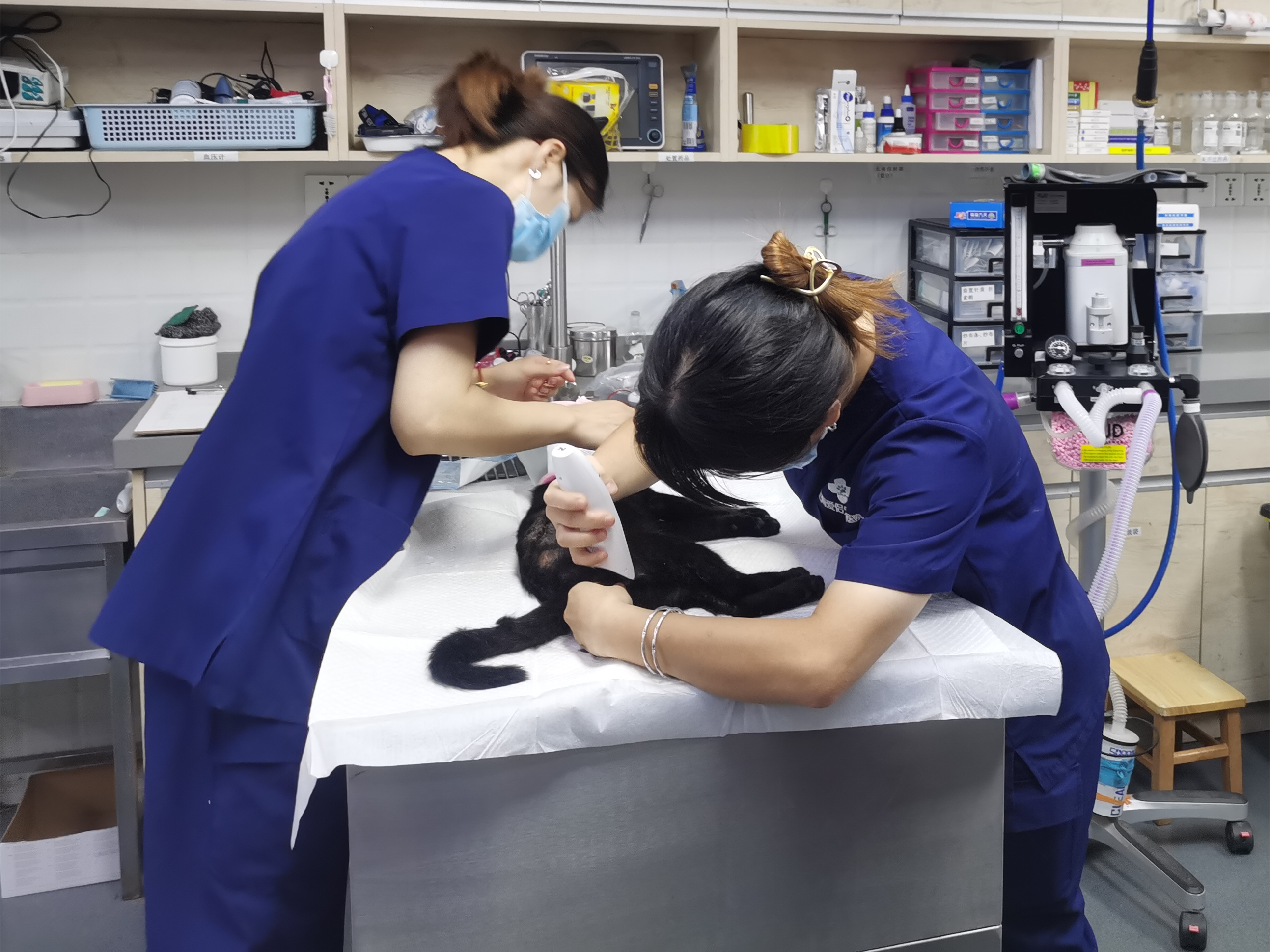 1208_130227_716.png 1208_130227_716.png