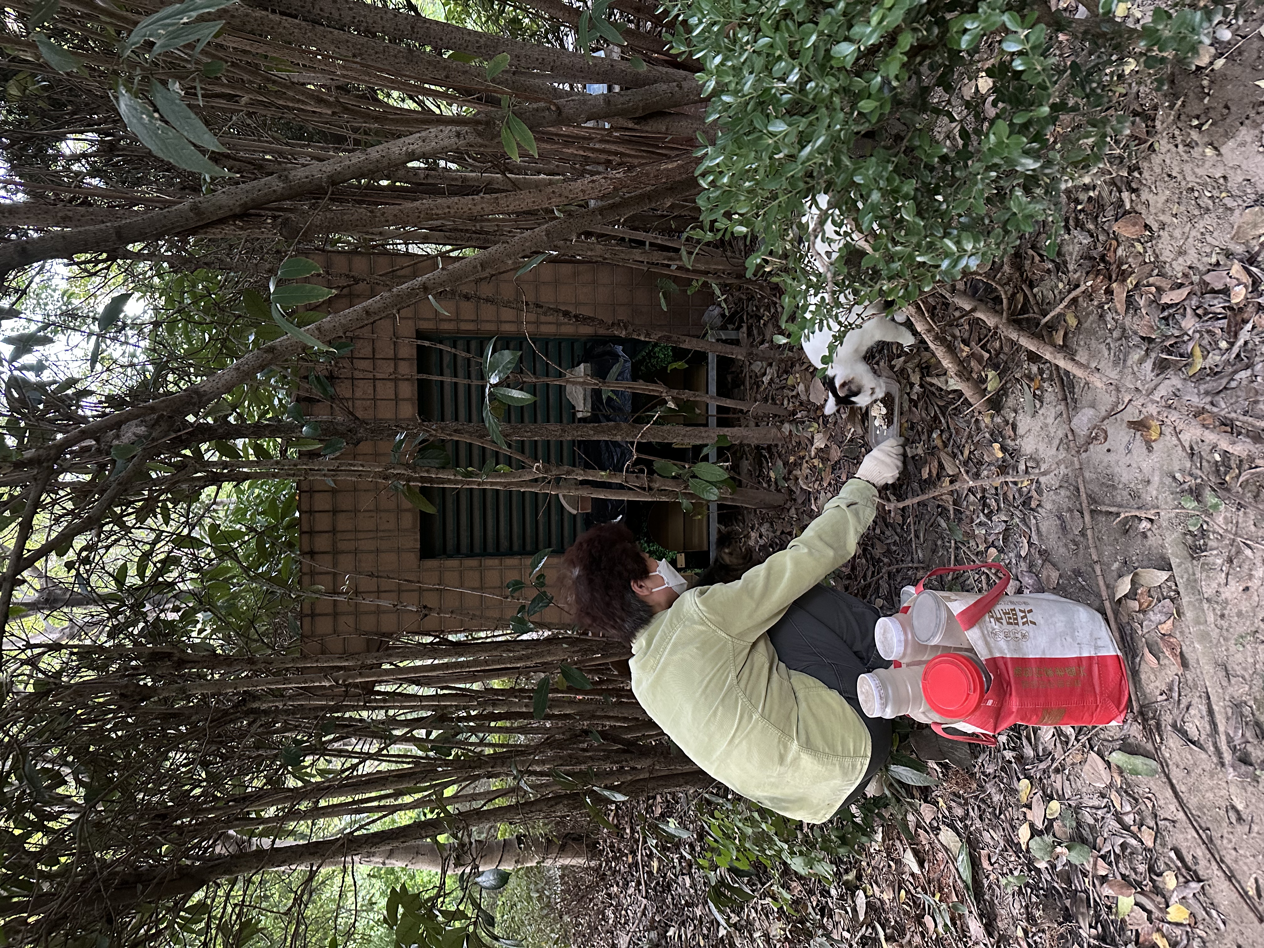 1208_130330_545.jpg 1208_130330_545.jpg