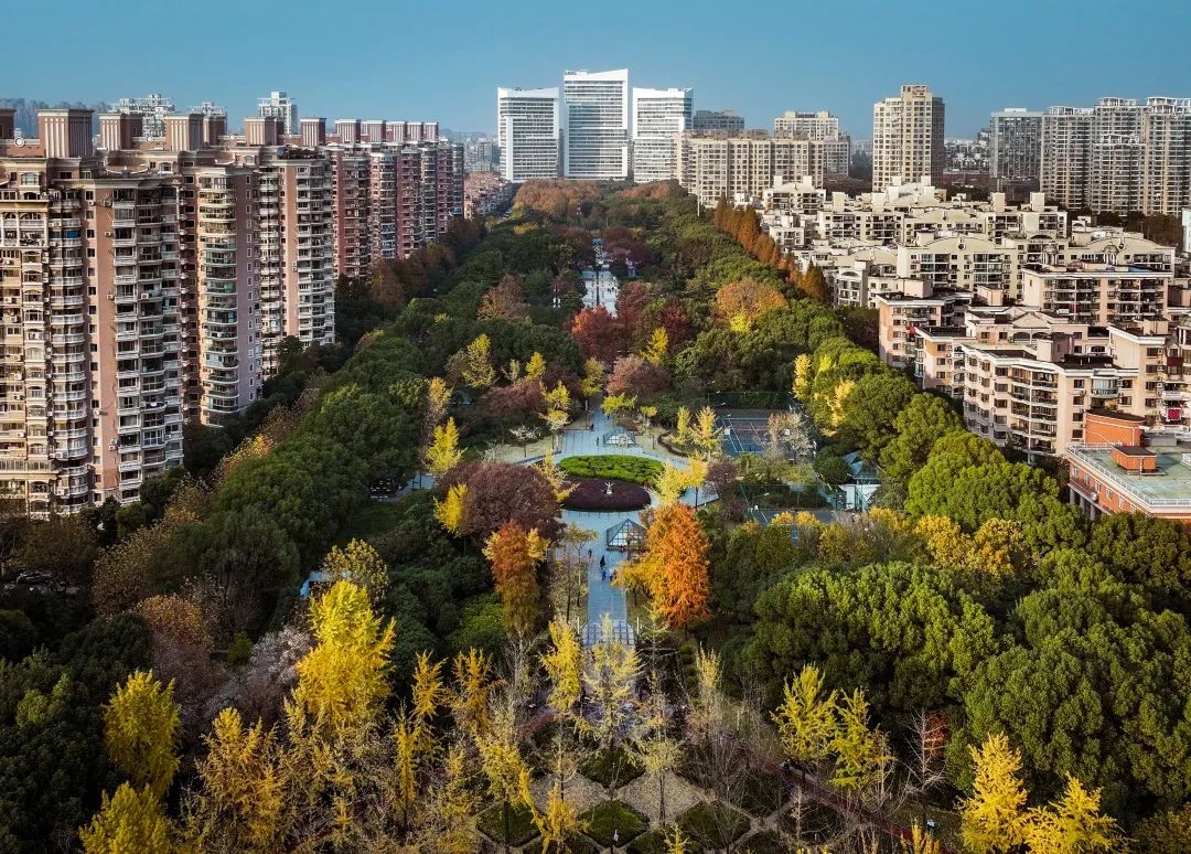 1229_140053_733.jpg 1229_140053_733.jpg