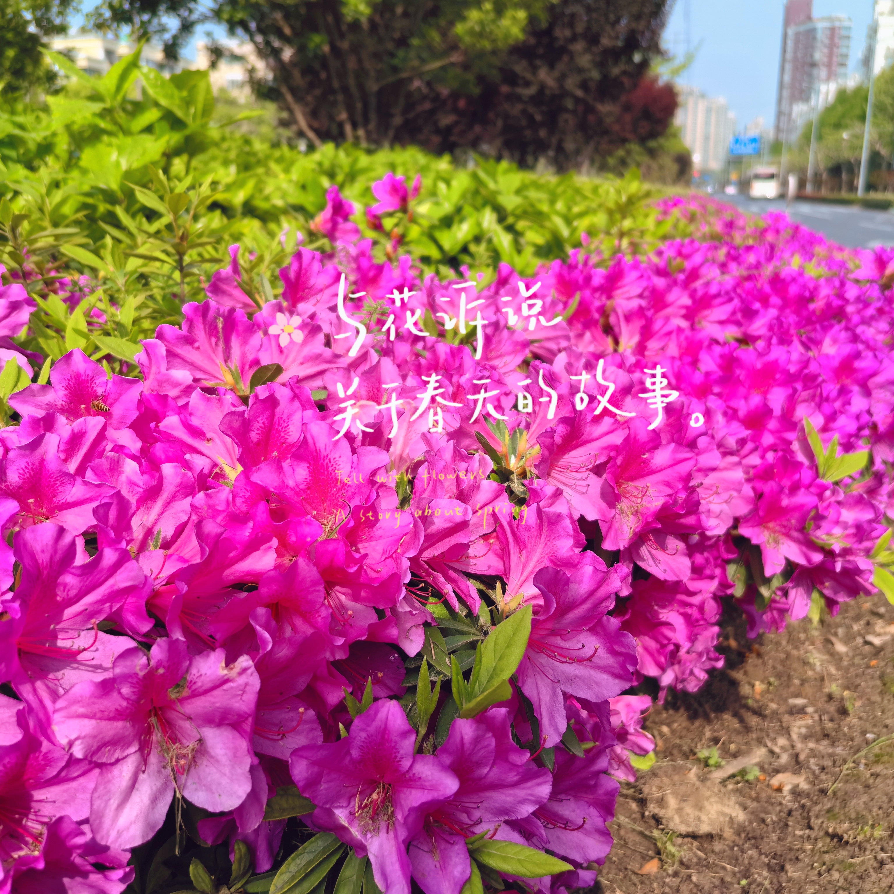 0506_131541_135.jpg 0506_131541_135.jpg