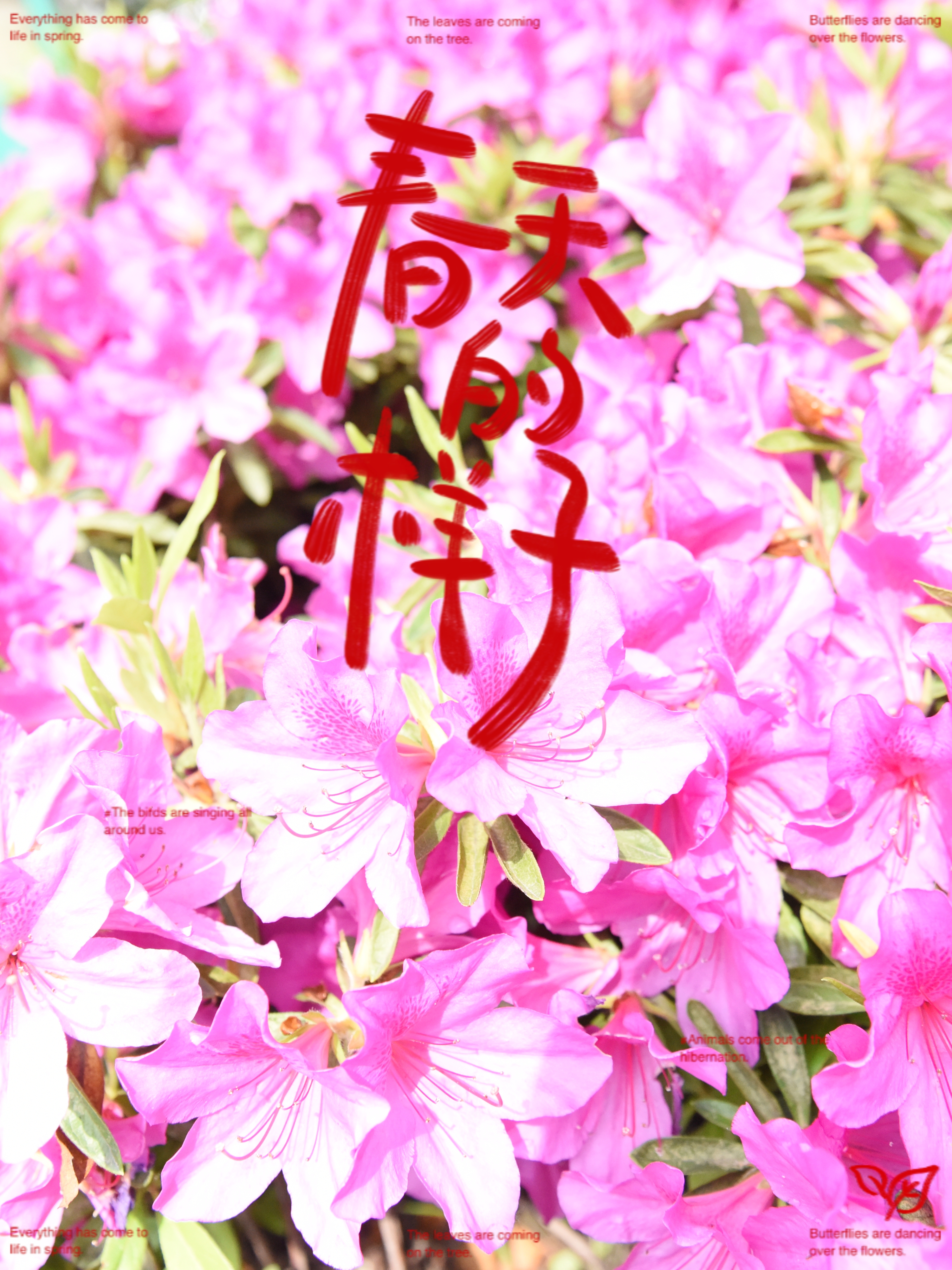 0506_131516_773.jpg 0506_131516_773.jpg