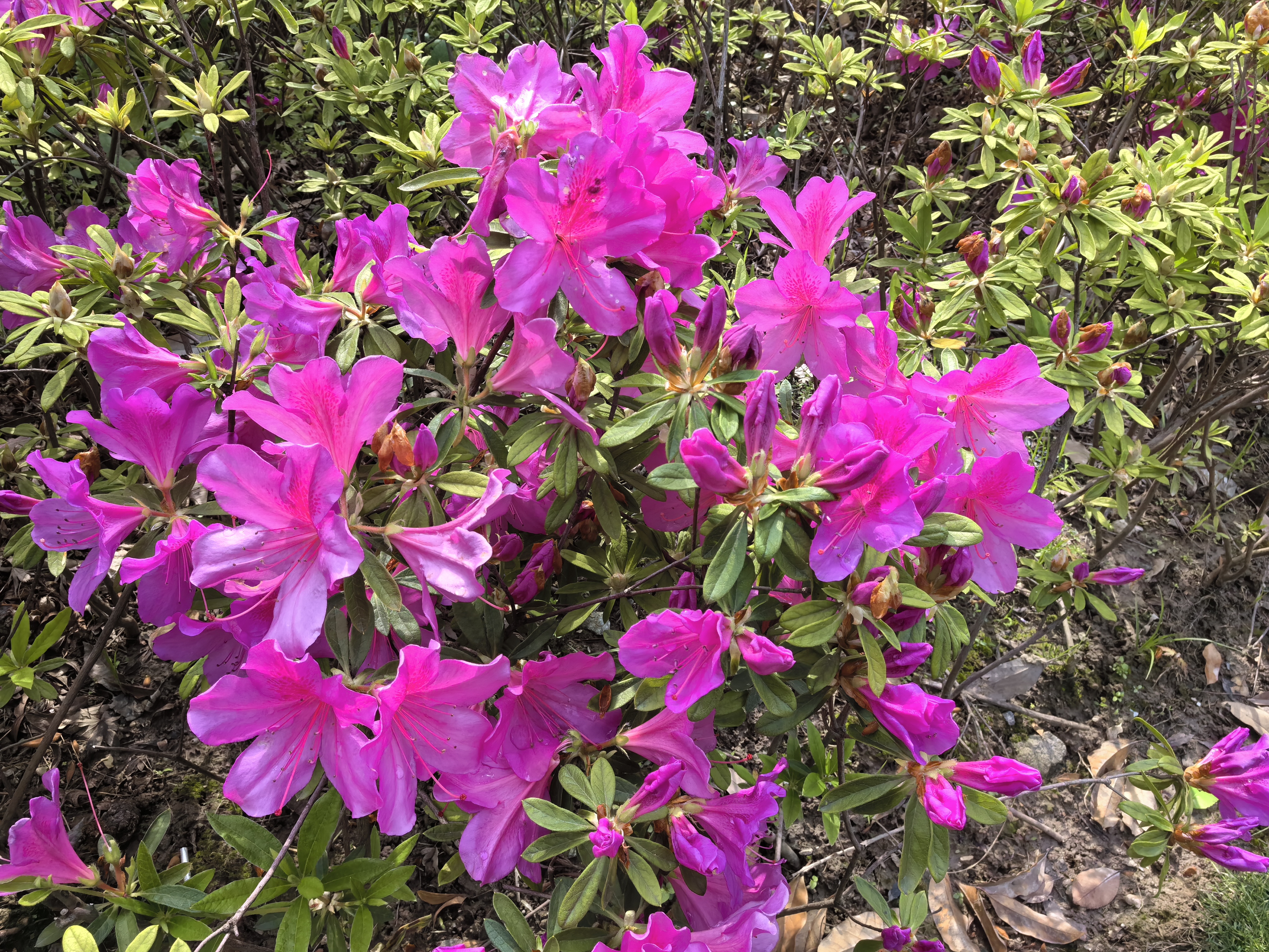 0506_131637_310.jpg 0506_131637_310.jpg