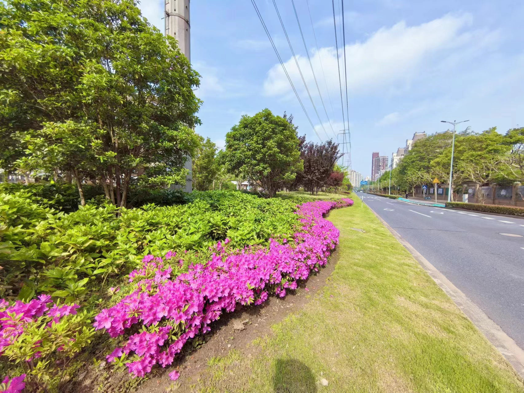 0506_131542_402.jpg 0506_131542_402.jpg