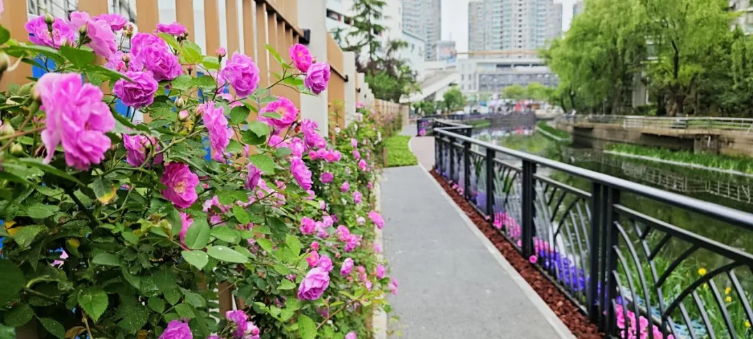 0510_125116_194.jpg 0510_125116_194.jpg