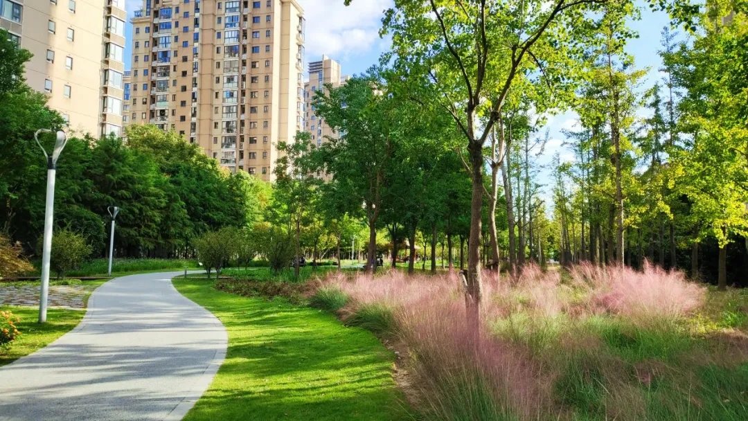 0510_124933_386.jpg 0510_124933_386.jpg