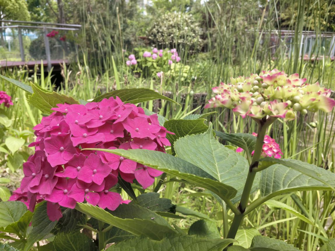 0617_131639_360.png 0617_131639_360.png