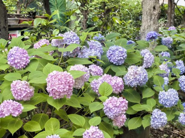 0617_131707_807.png 0617_131707_807.png