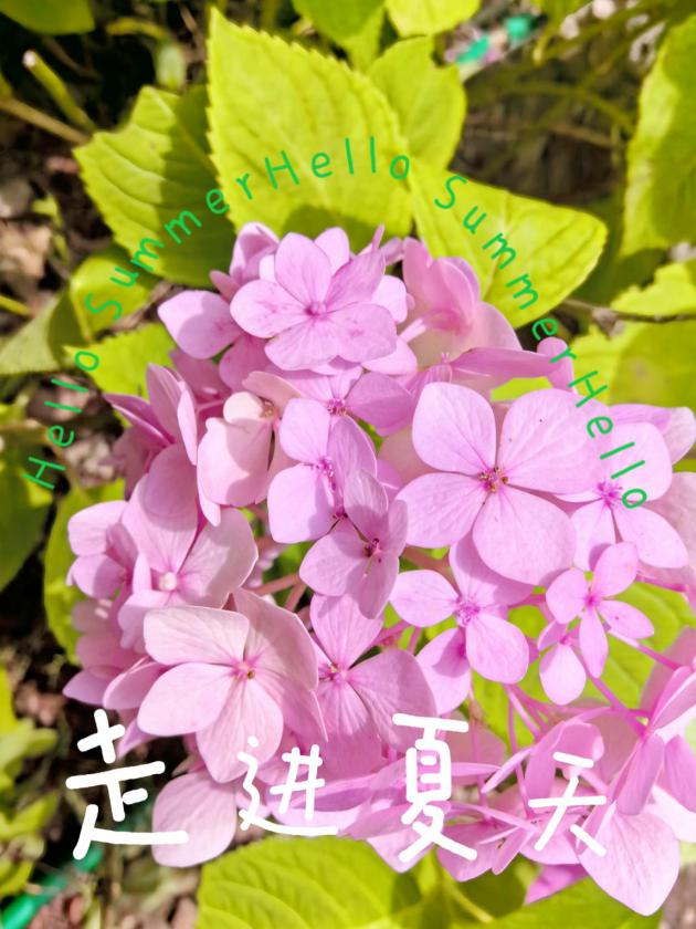 0617_131556_597.png 0617_131556_597.png