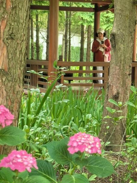 0617_131638_399.png 0617_131638_399.png