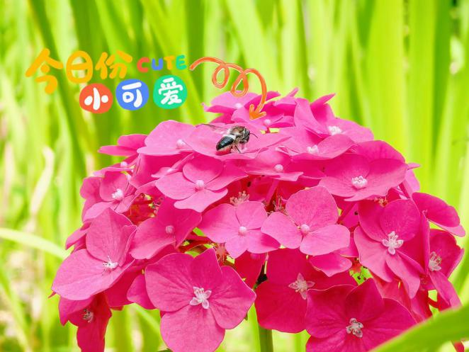 0617_131618_251.png 0617_131618_251.png