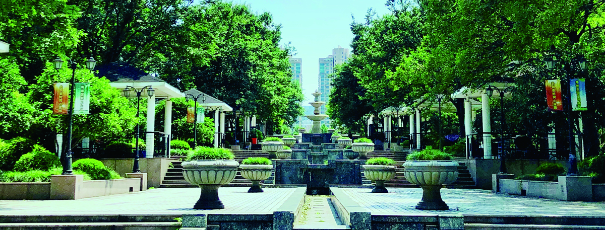街心花园.jpg