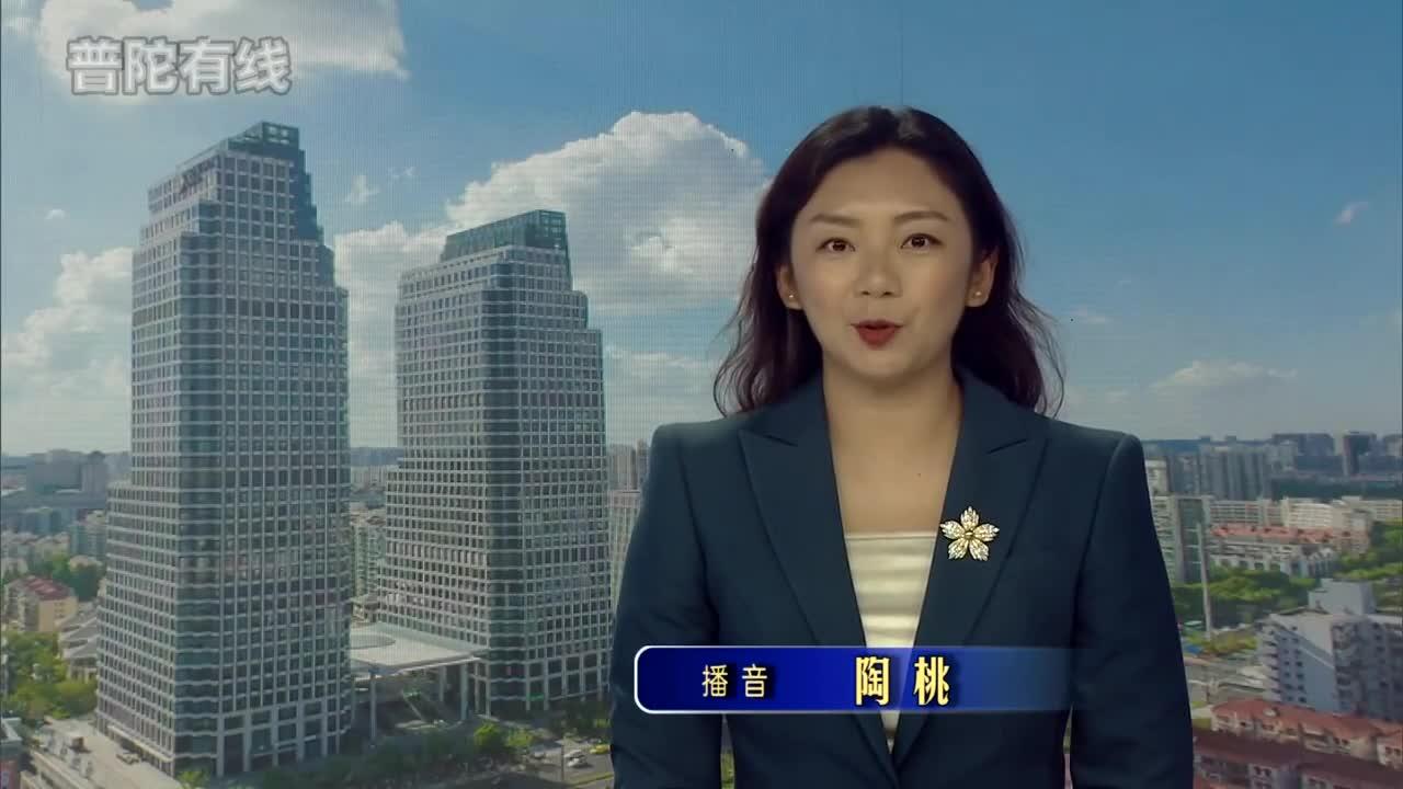 20260729普陀新闻视频