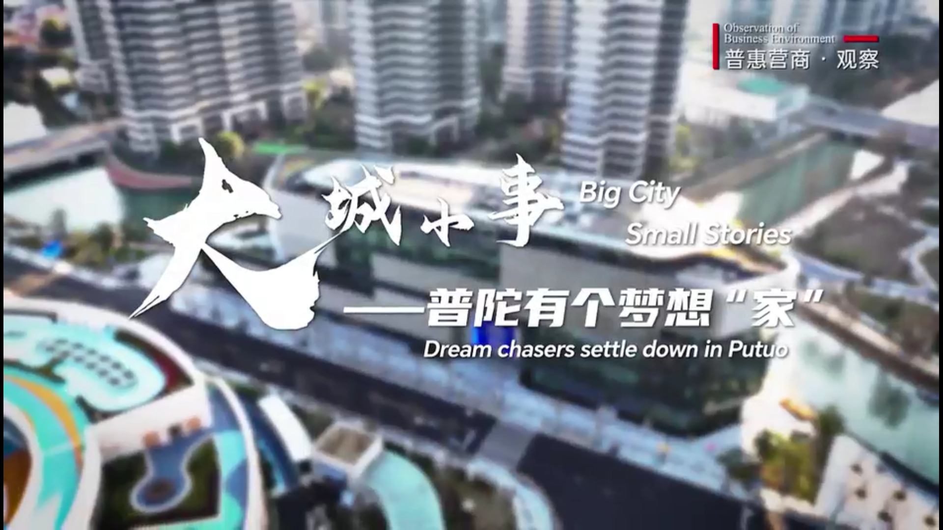 【普惠营商·观察】普陀，让海外青年安了家