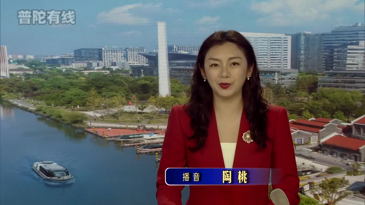 20260319普陀新闻视频