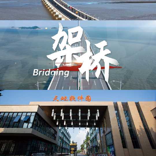 【普惠营商·观察】普陀营商“架桥”有道，助力企业发展一路畅通