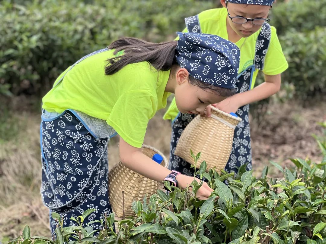 0807_101713_248.jpg 0807_101713_248.jpg