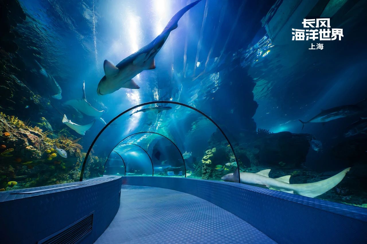 0607_092403_662.jpg 0607_092403_662.jpg