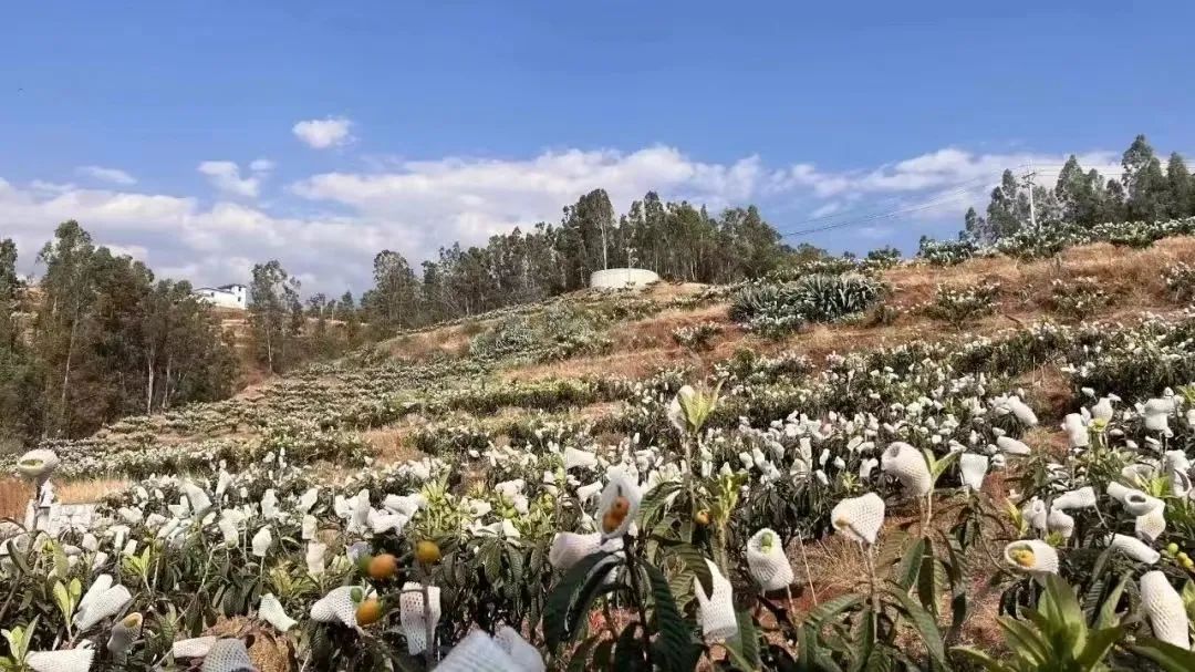 1007_134730_339.jpg 微信图片_20231007143848.jpg