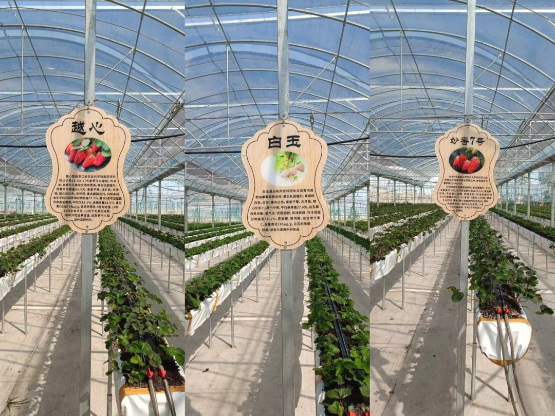 1007_134749_418.png 微信图片_20231007143851.png