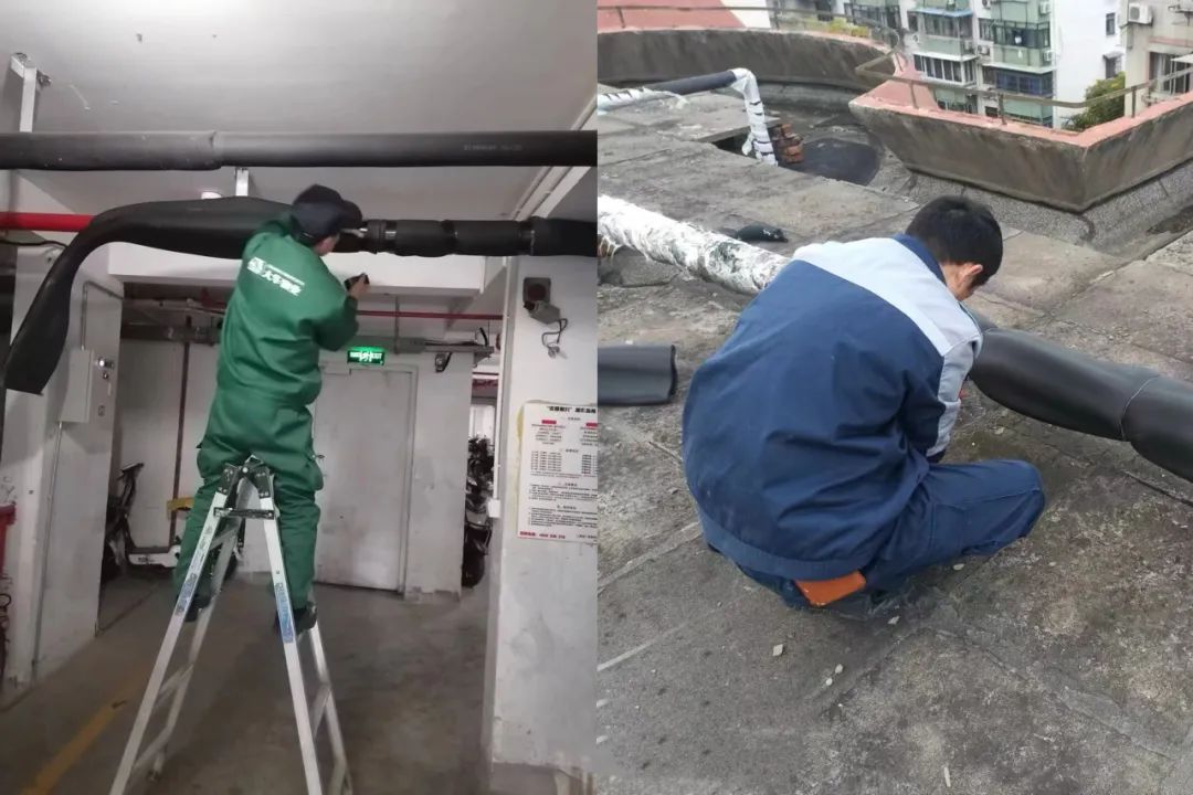 1218_084824_256.jpg 1218_084824_256.jpg