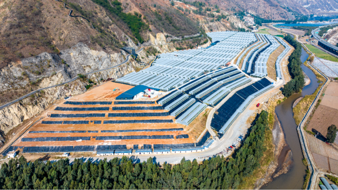 招商引资 中毓农业3.jpg